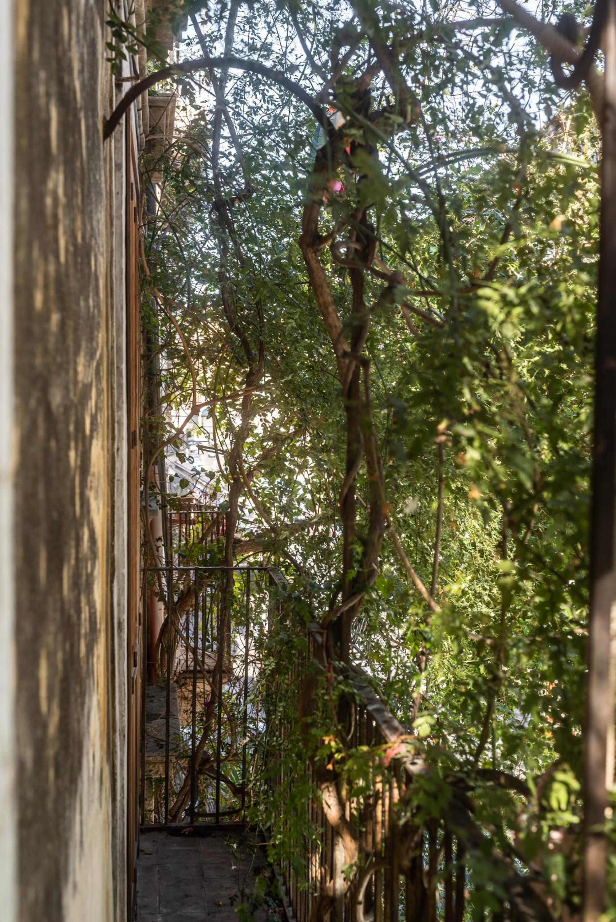 Palazzu Stidda Catania