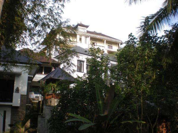 Photo 20