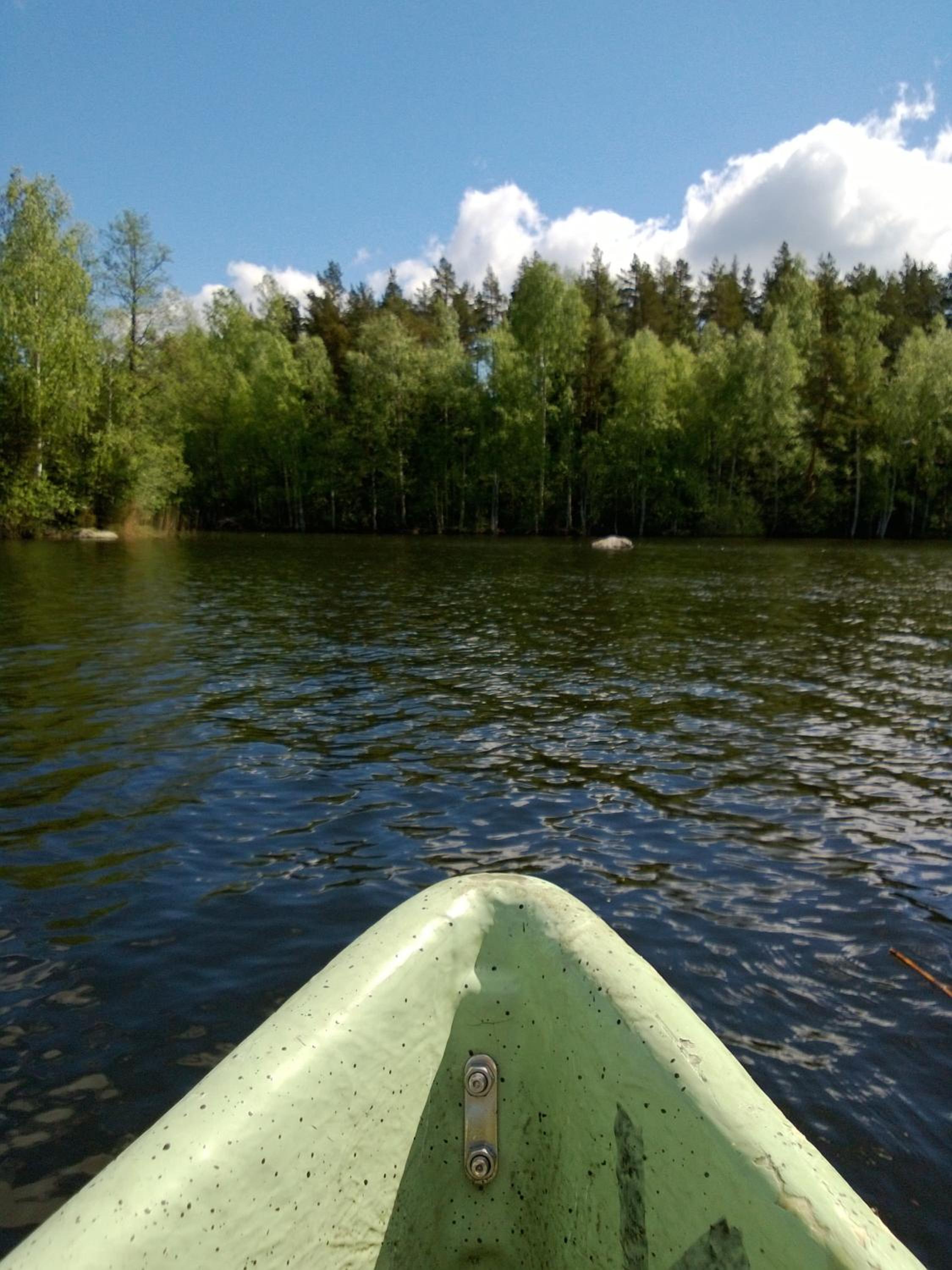 Photo 51
