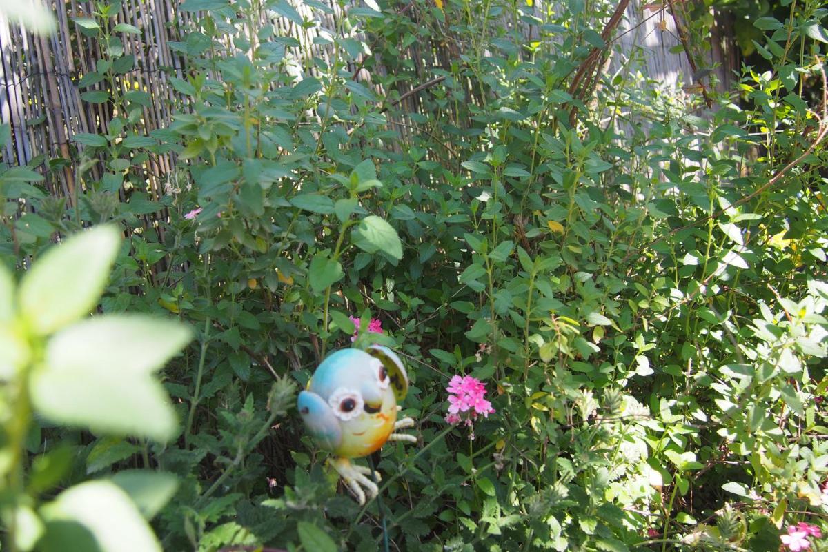 Photo 54