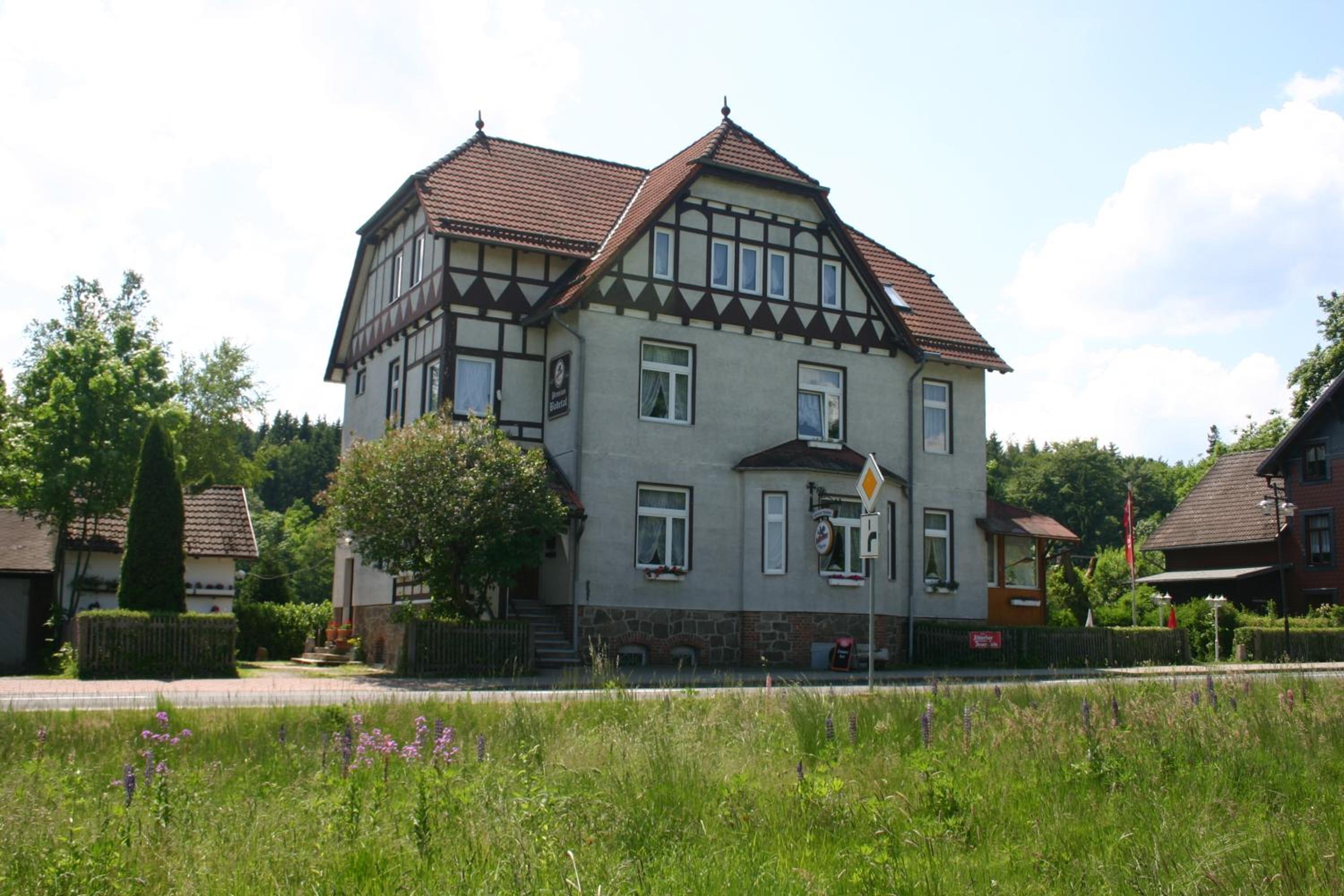 Photo 7