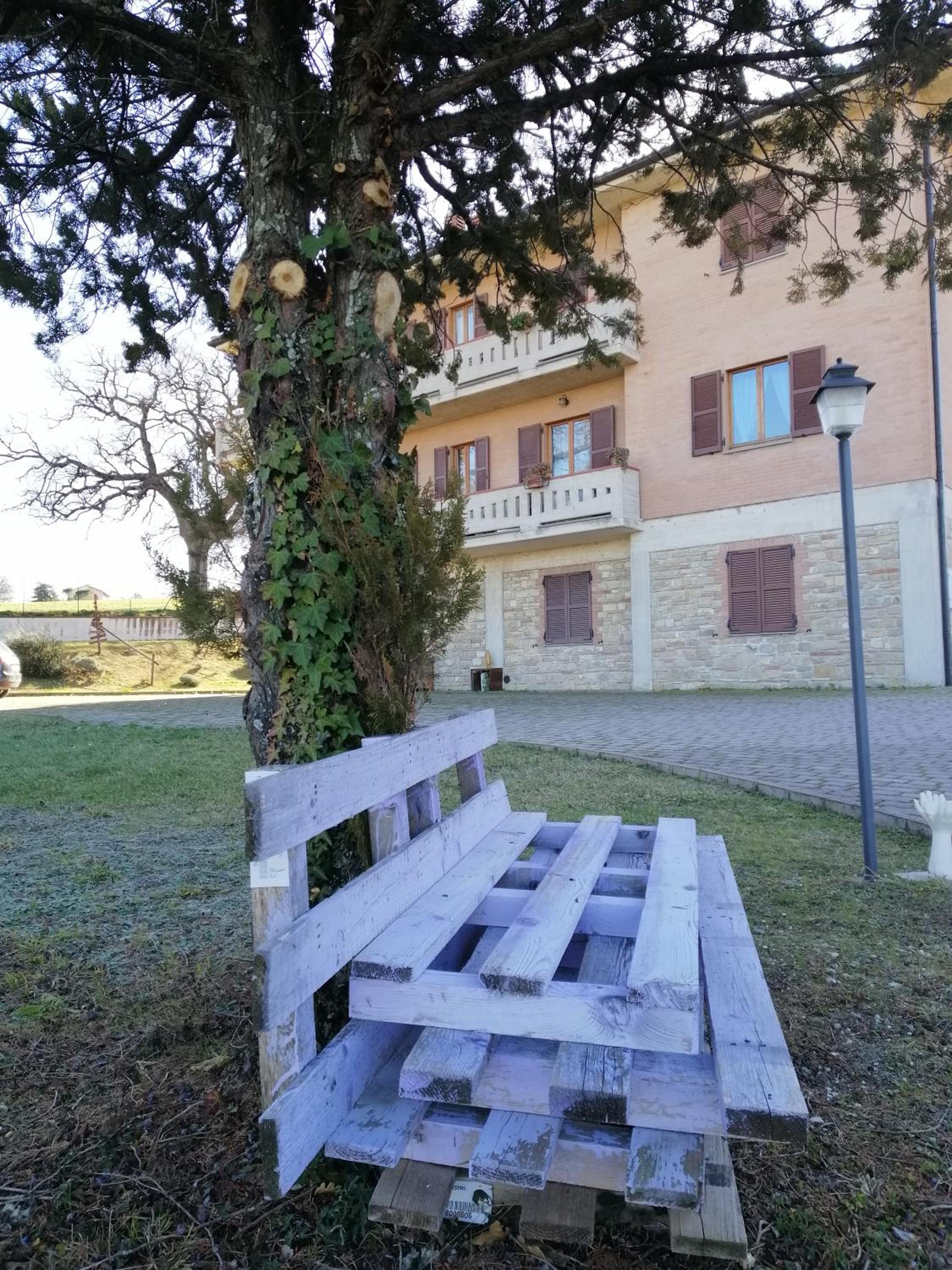 Amor di Lavanda