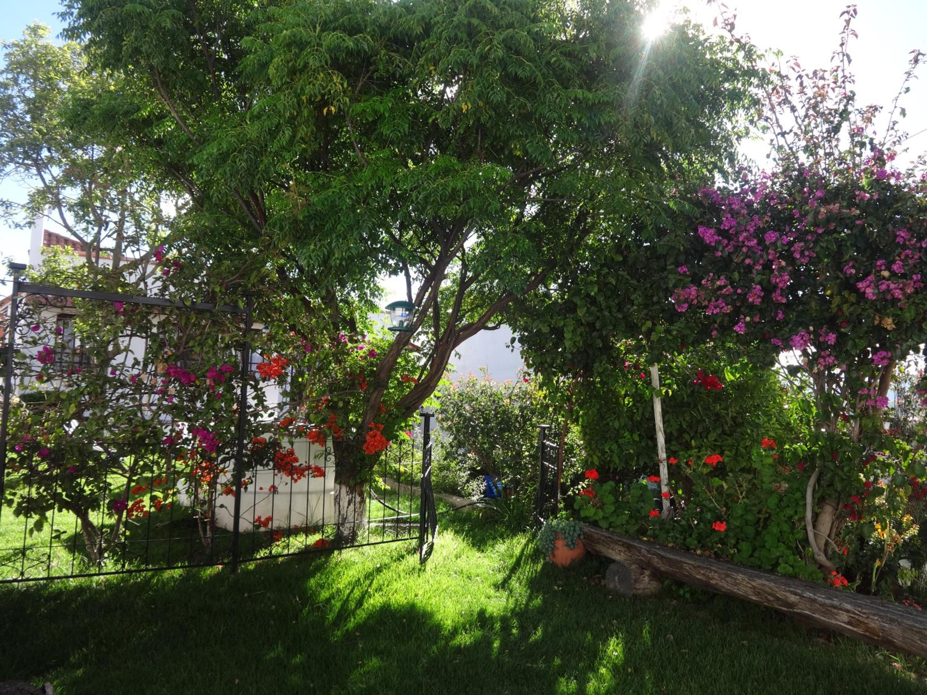 El Jardin De Su Merced B&B