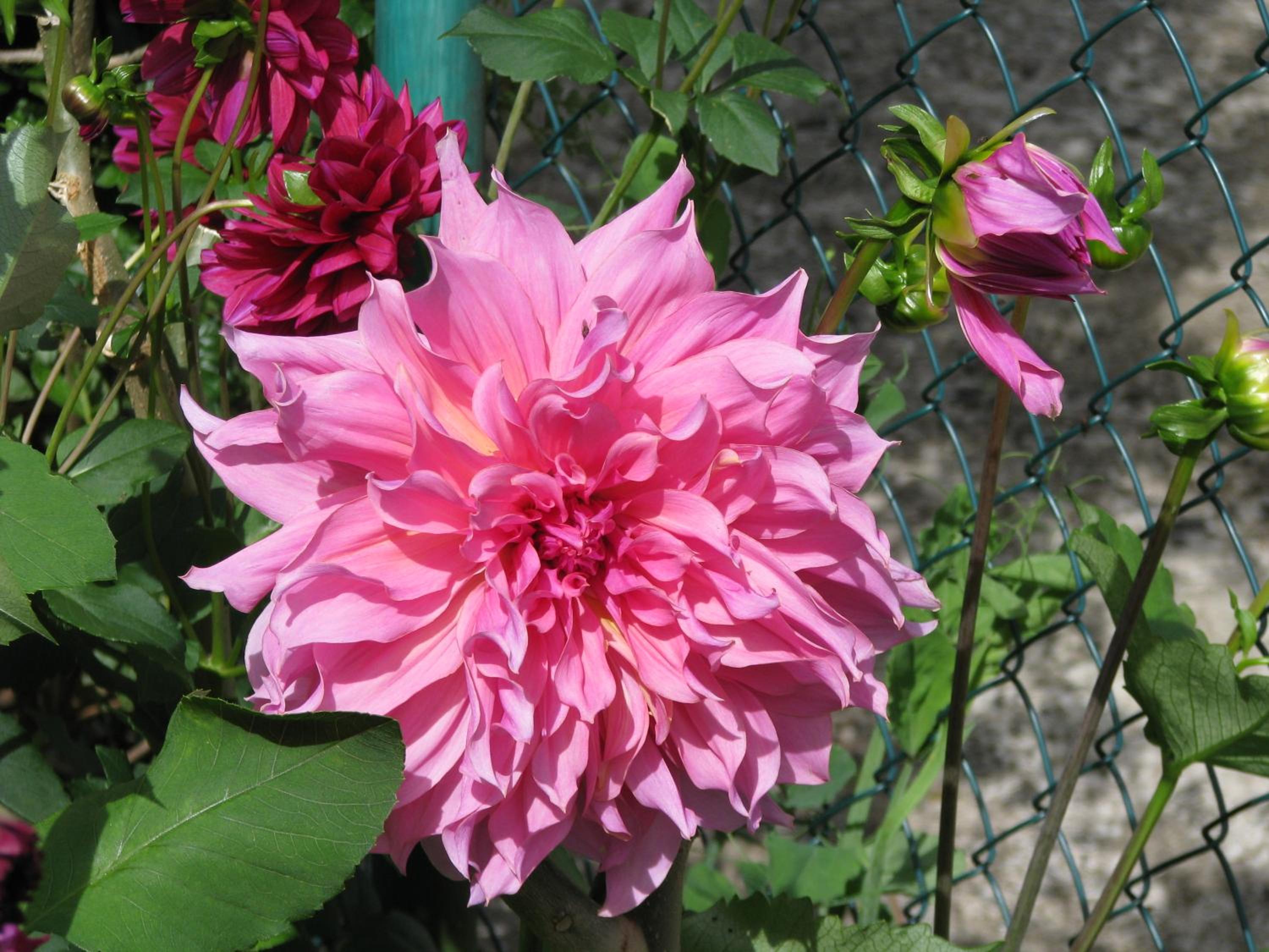 Photo 23