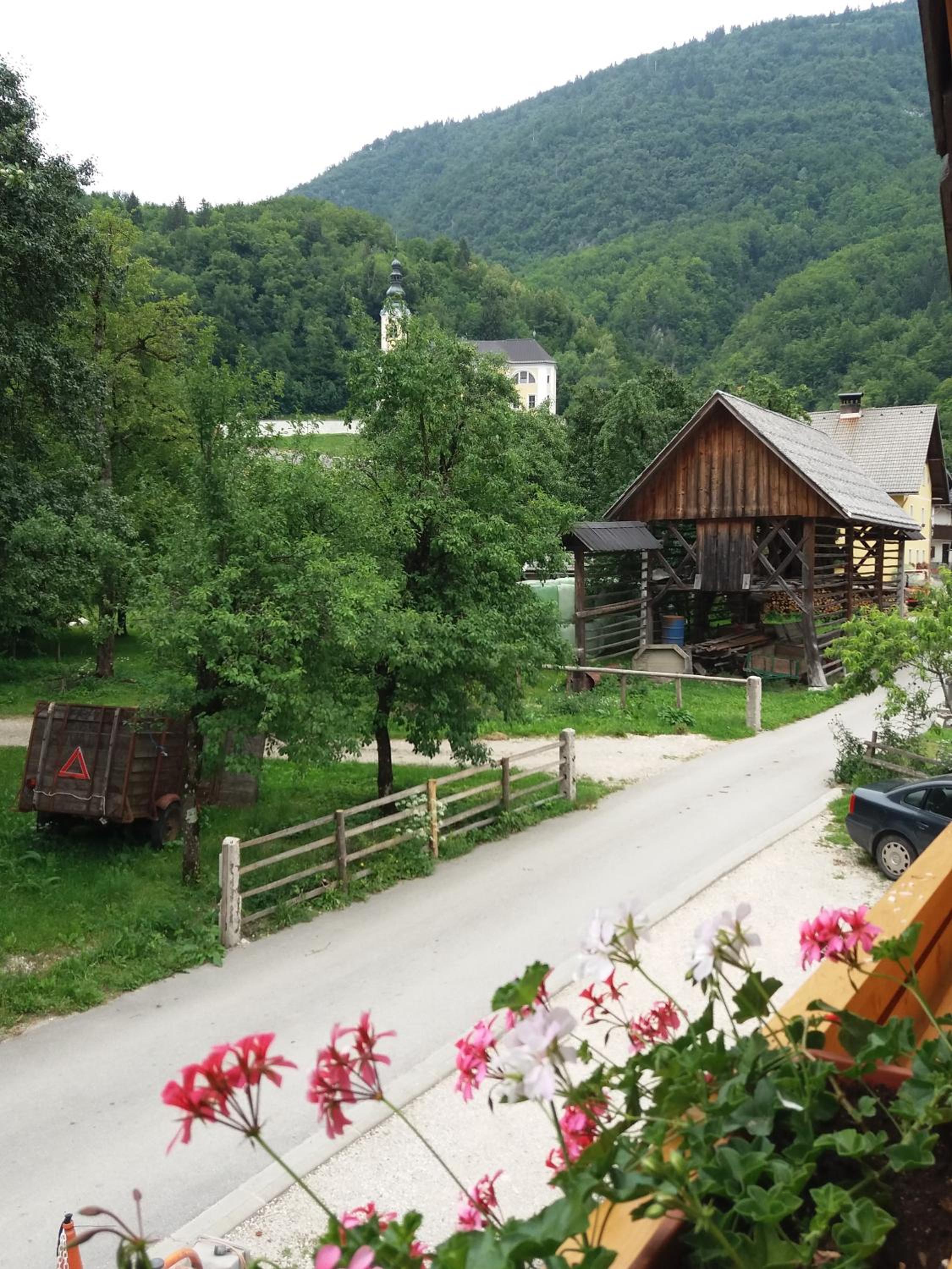 Apartma Momo view 3