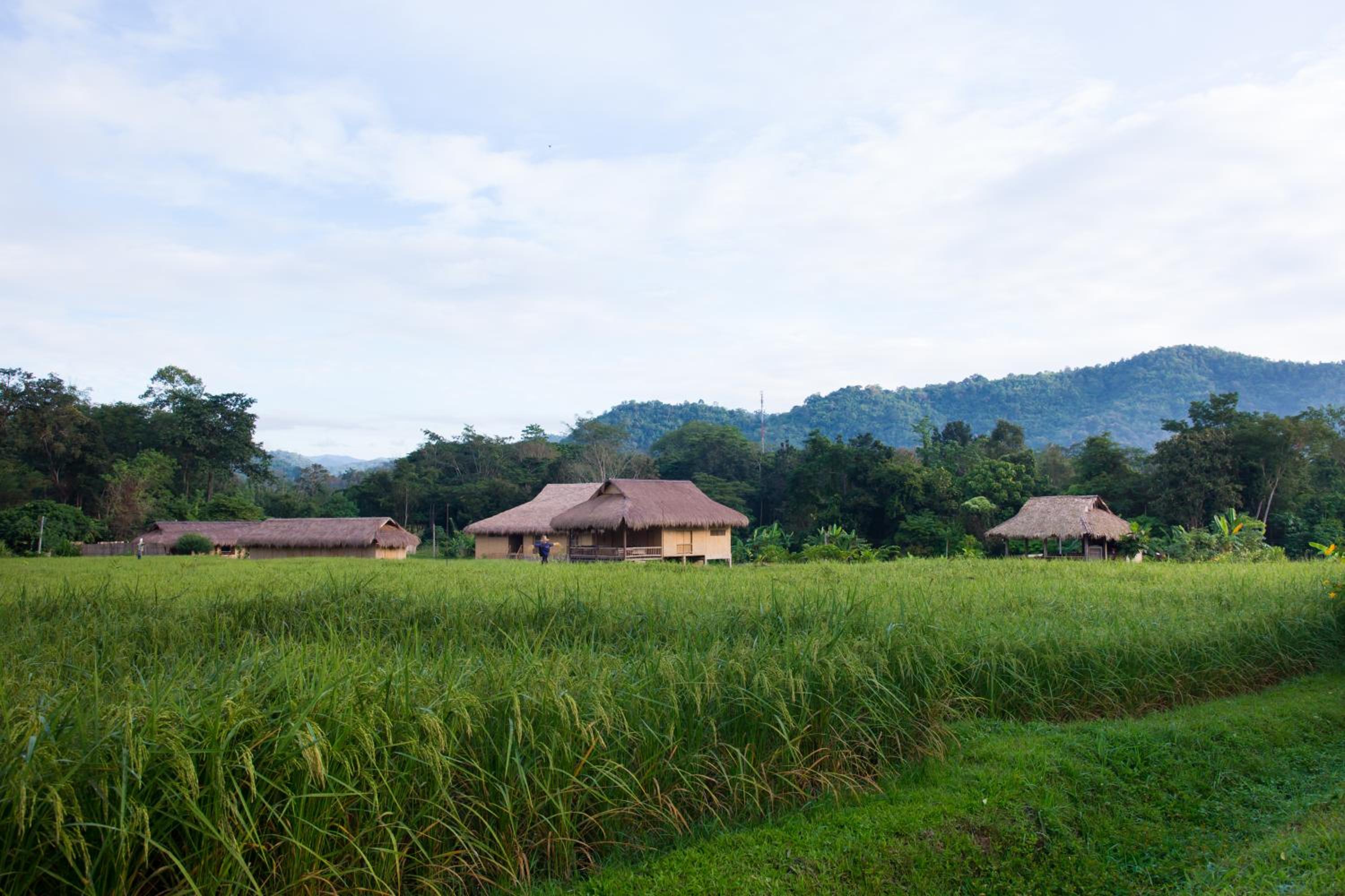 Lisu Lodge