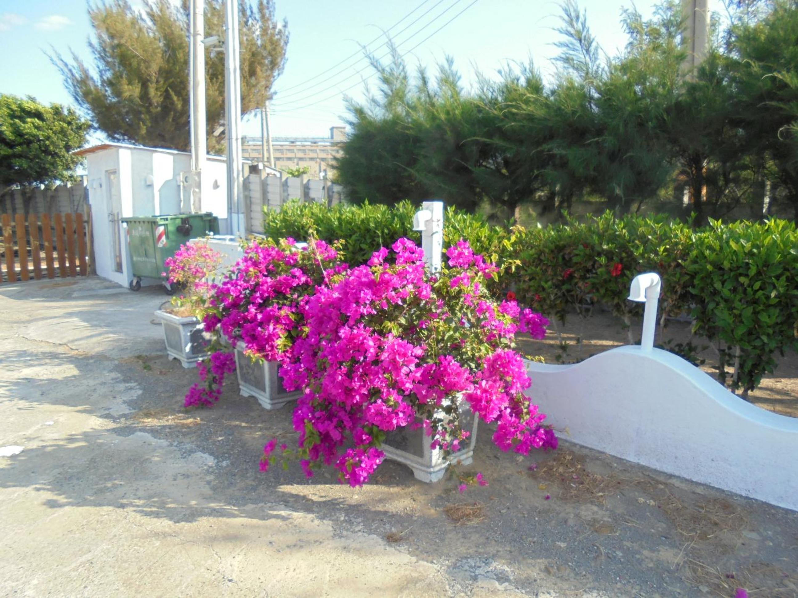 Photo 37