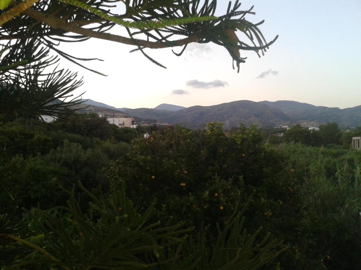 Photo 48