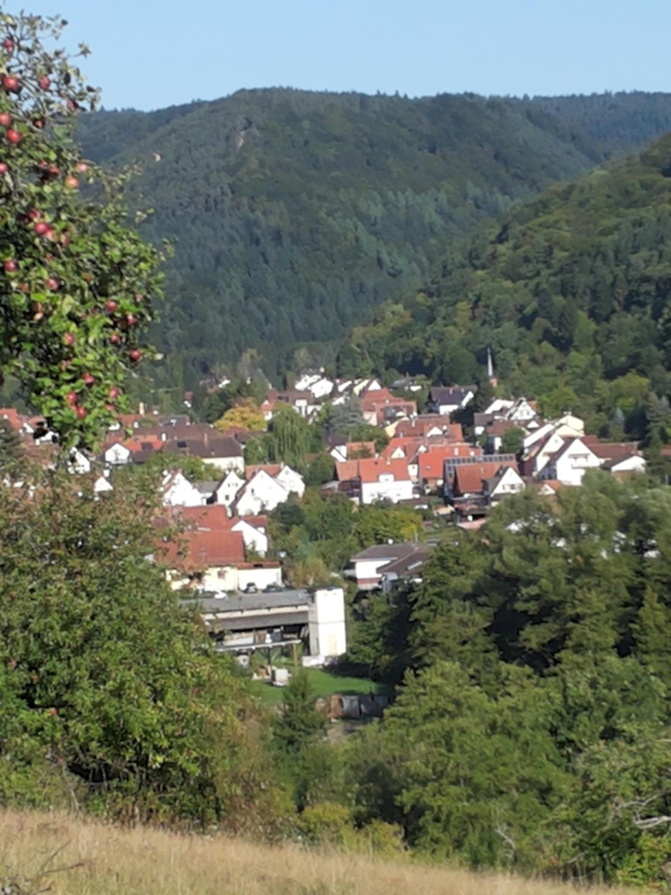 Photo 23