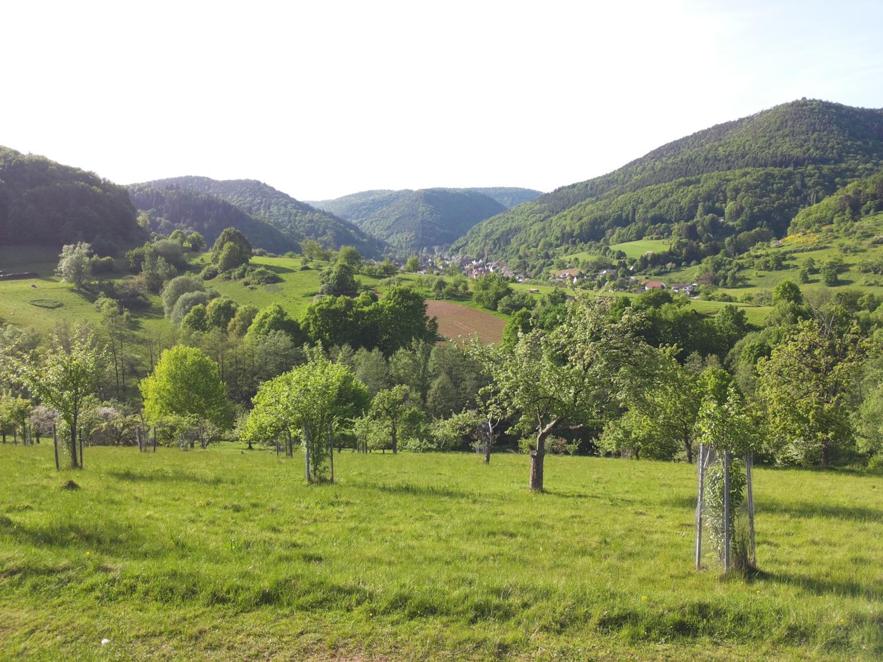 Photo 25