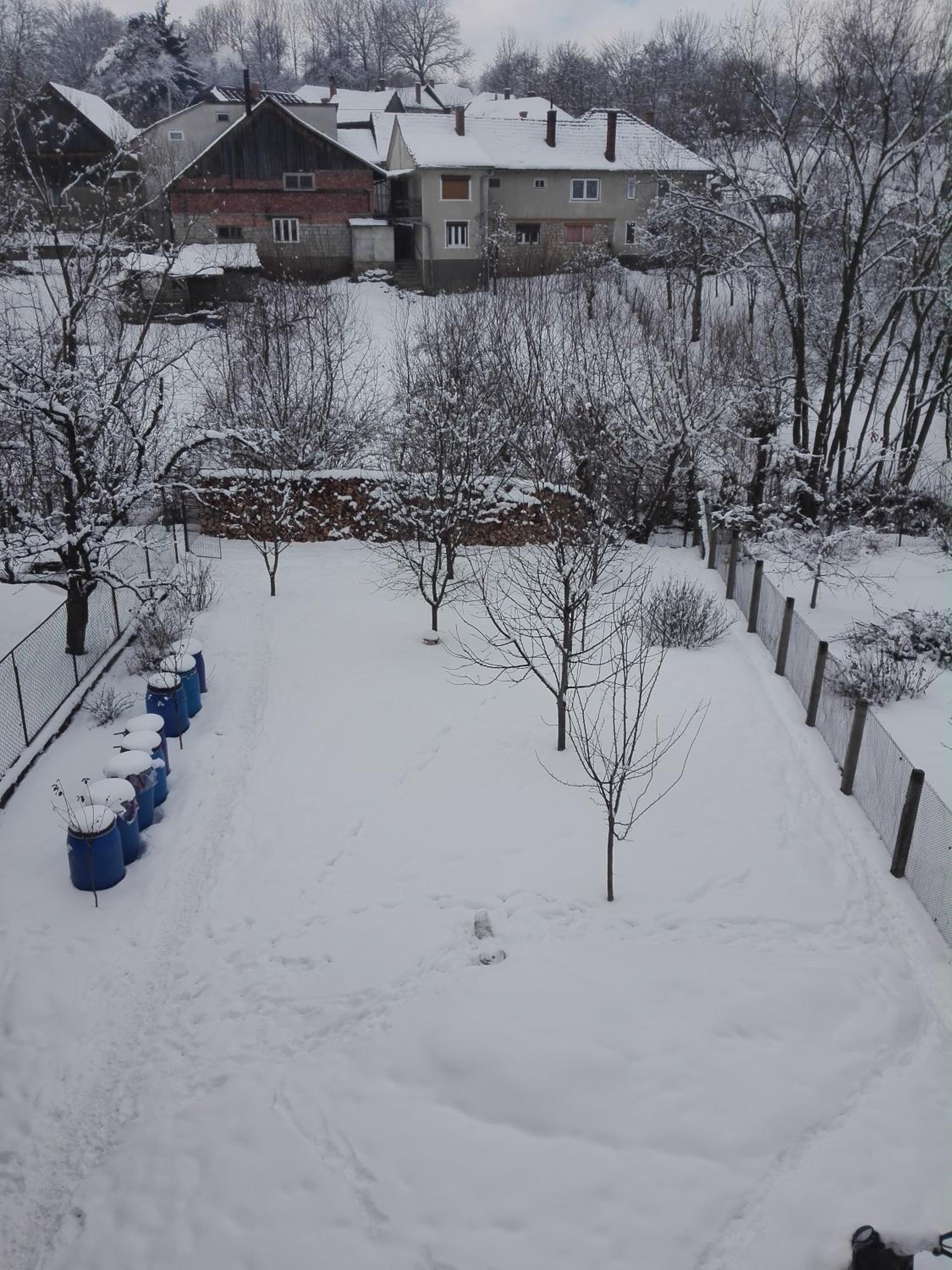 Photo 17