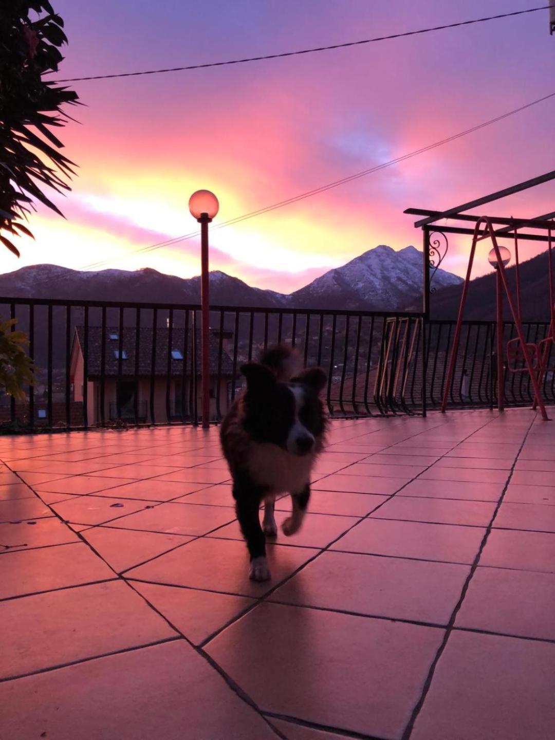 La Pennichella photo 5