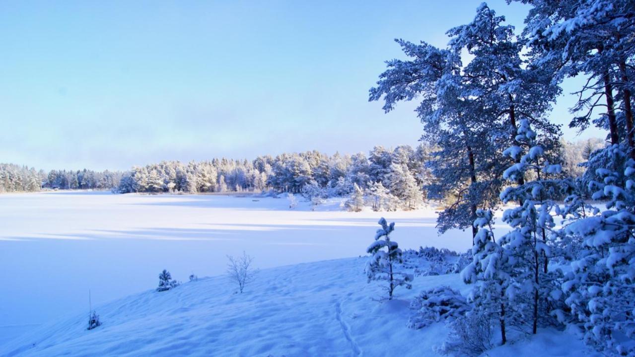Photo 43