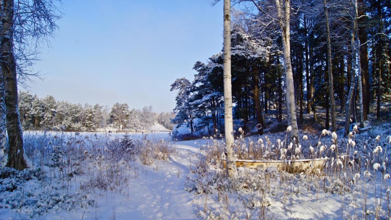 Photo 46