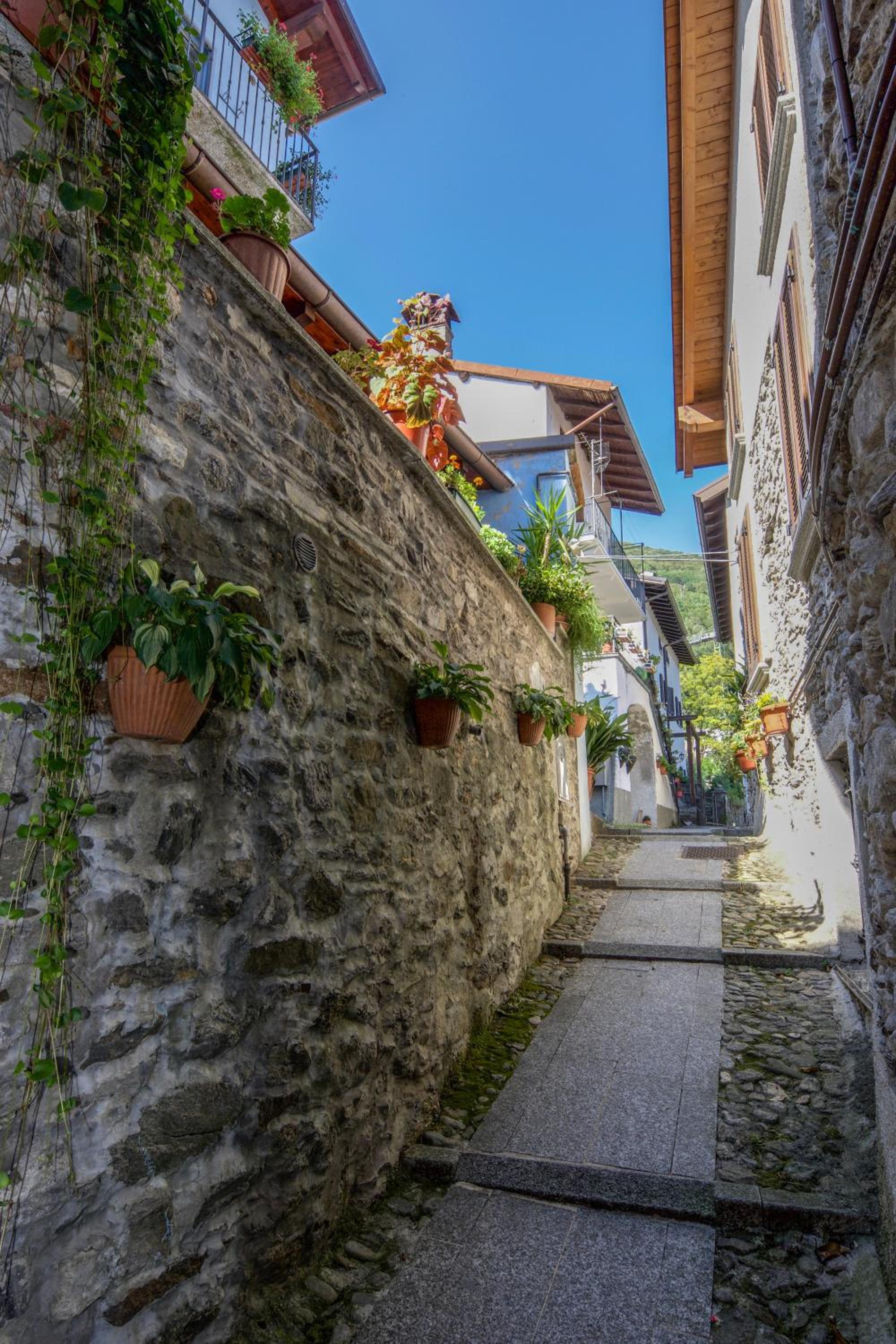 Il Sogno Di Claudia view 3
