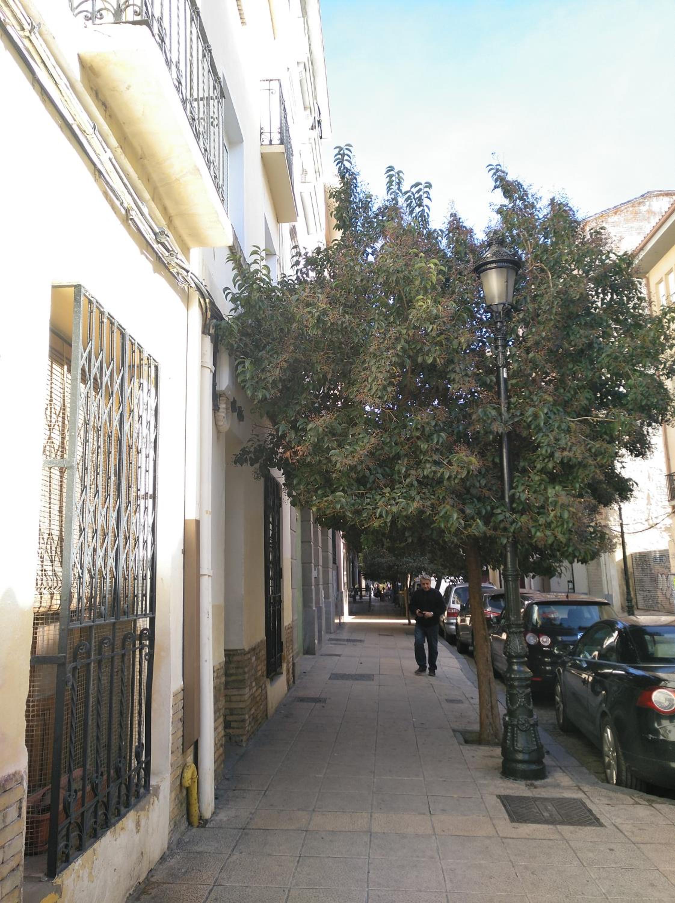 Photo 26