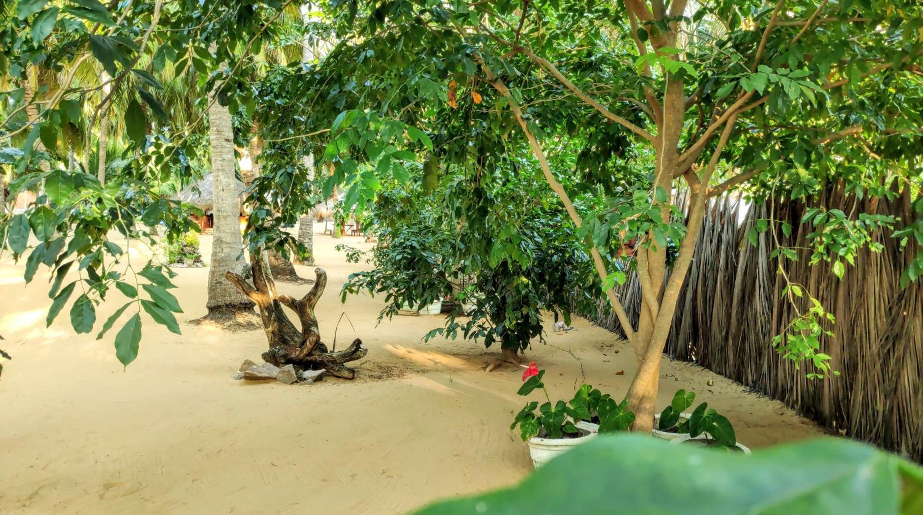 Roshanne Beach Resort, Kalpitiya
