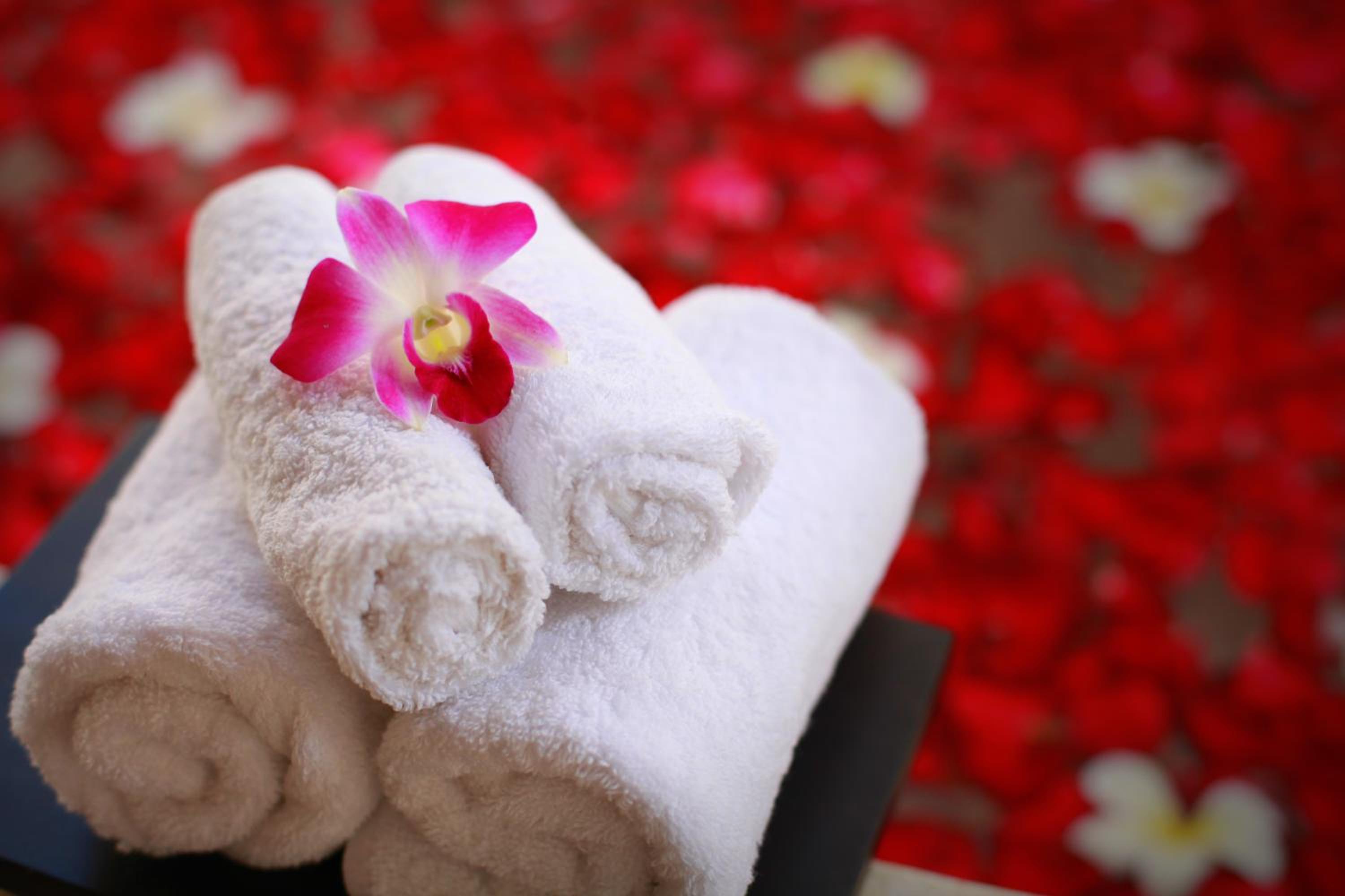 Villa Nico - Image 2