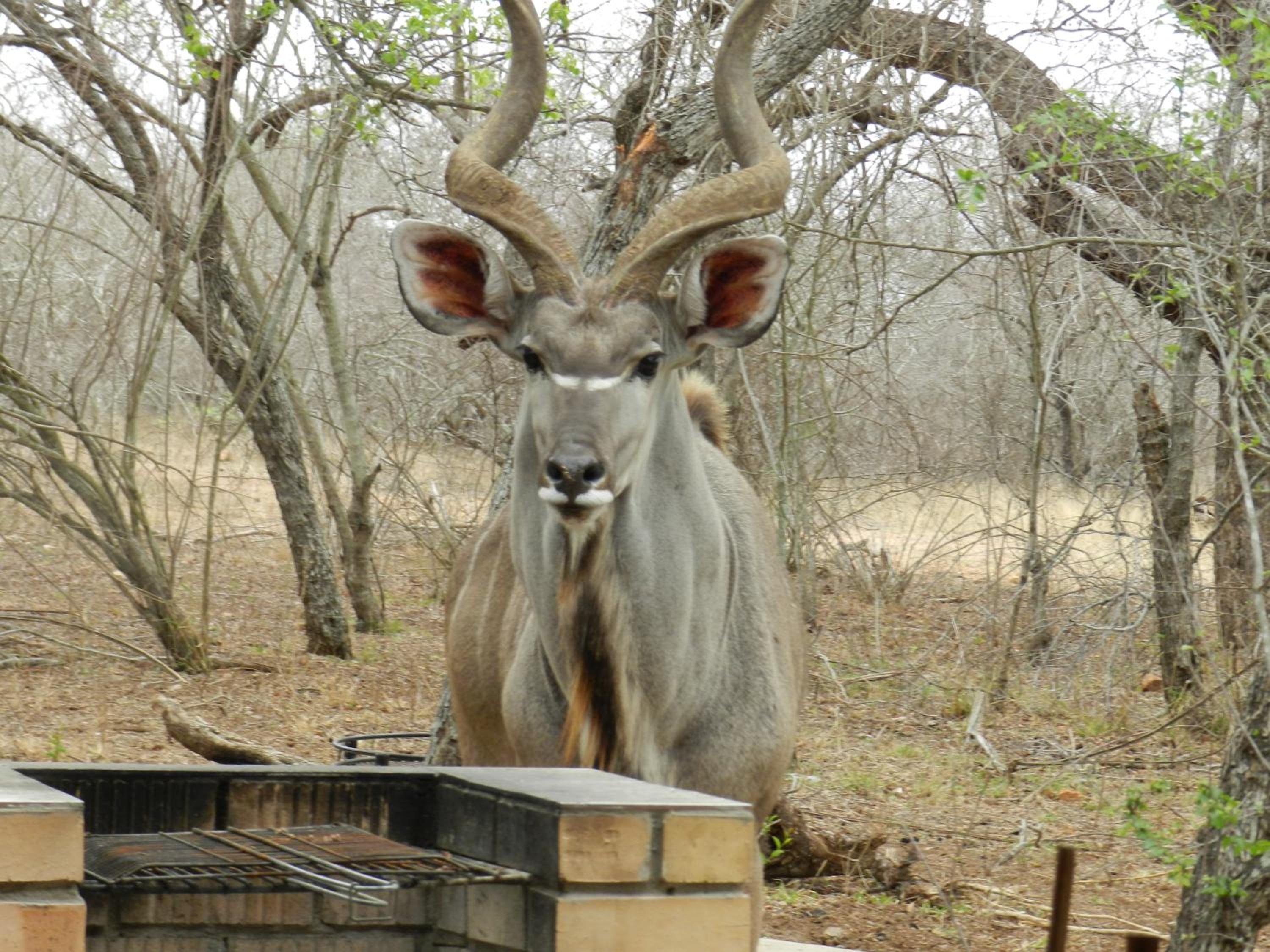 Photo 21