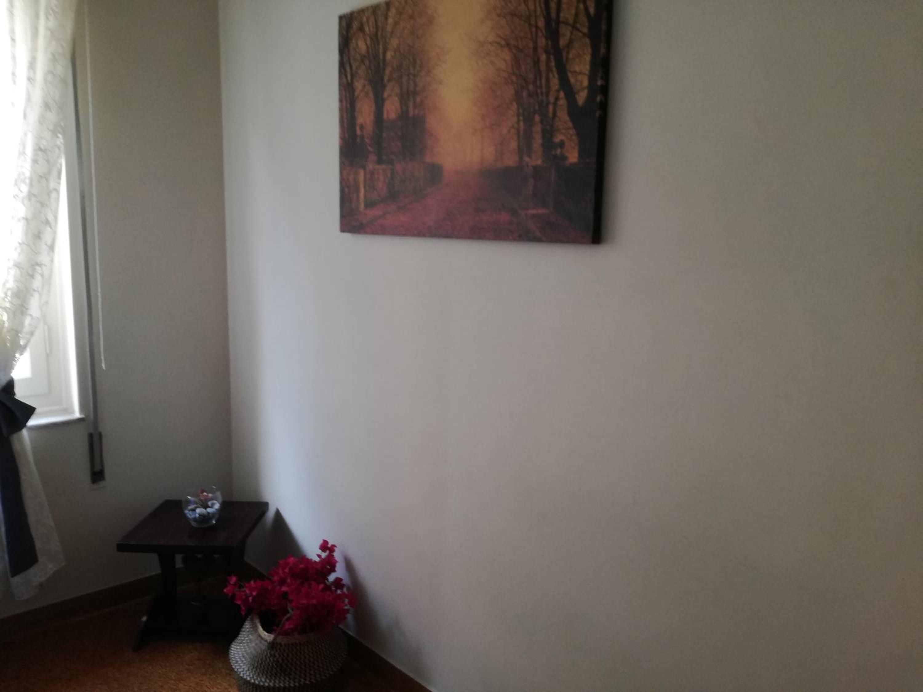 Mairas house collection