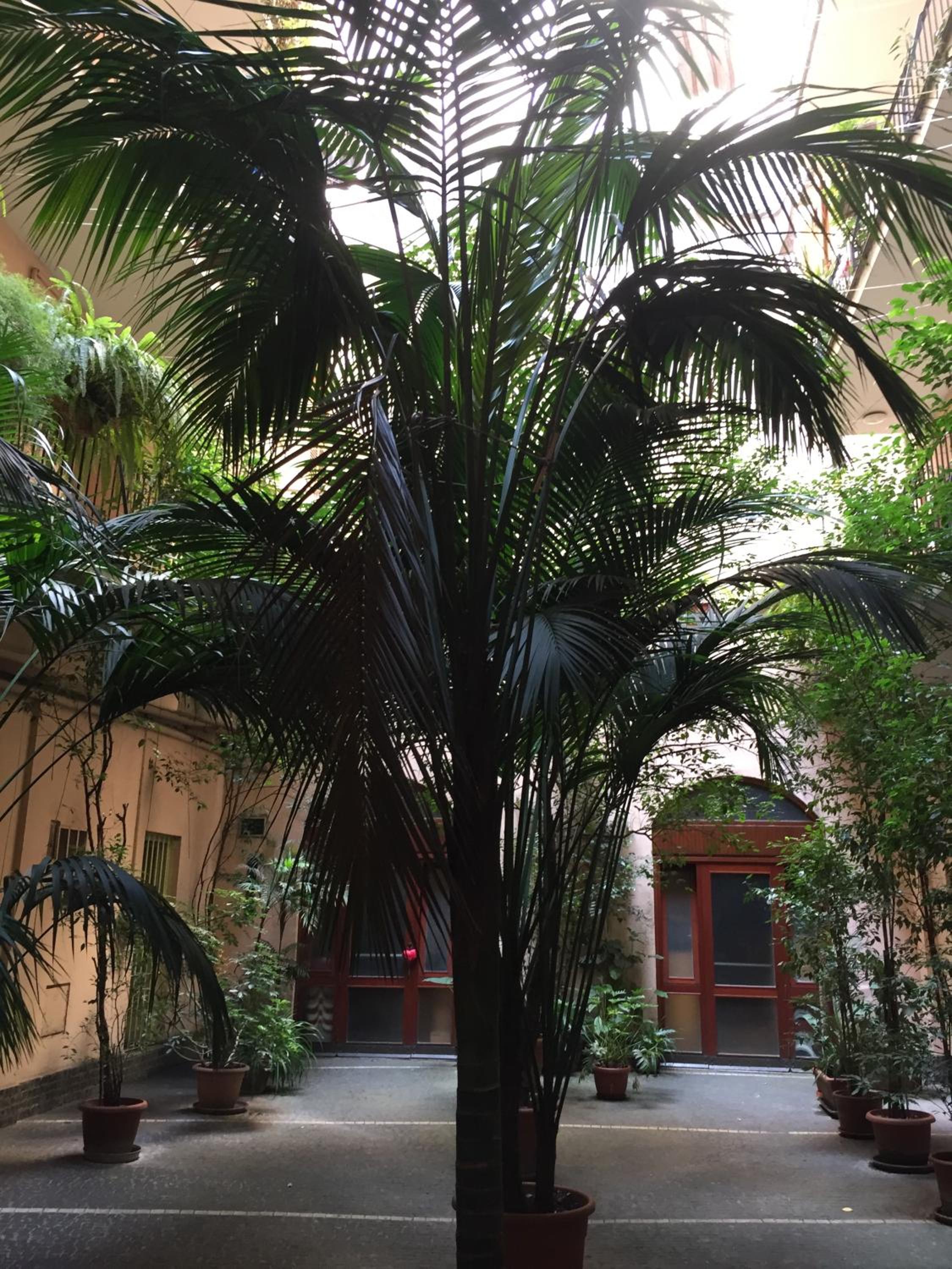 Klee House Trastevere