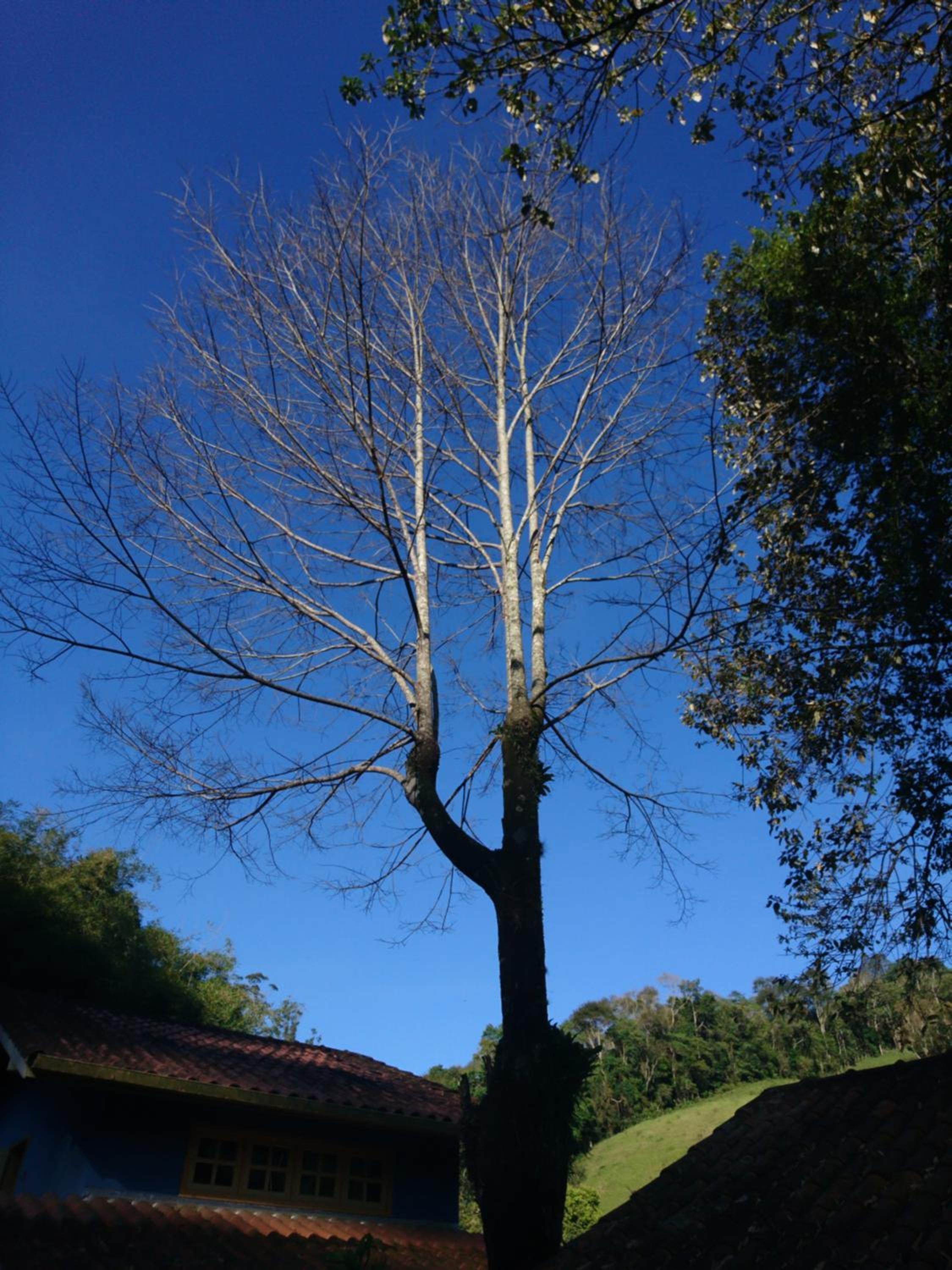 Casa do Artista