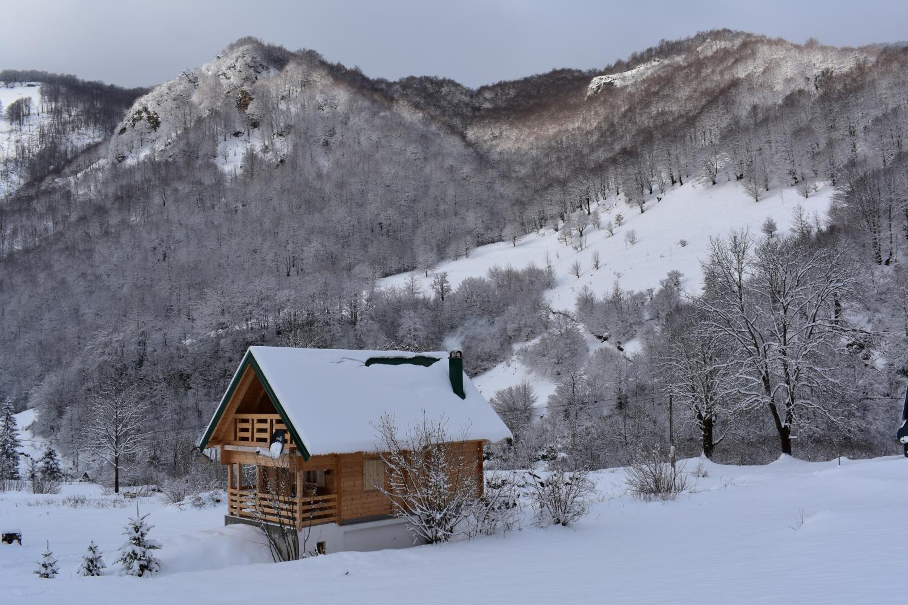 Mountain Lodge Mont Peace, photo 13