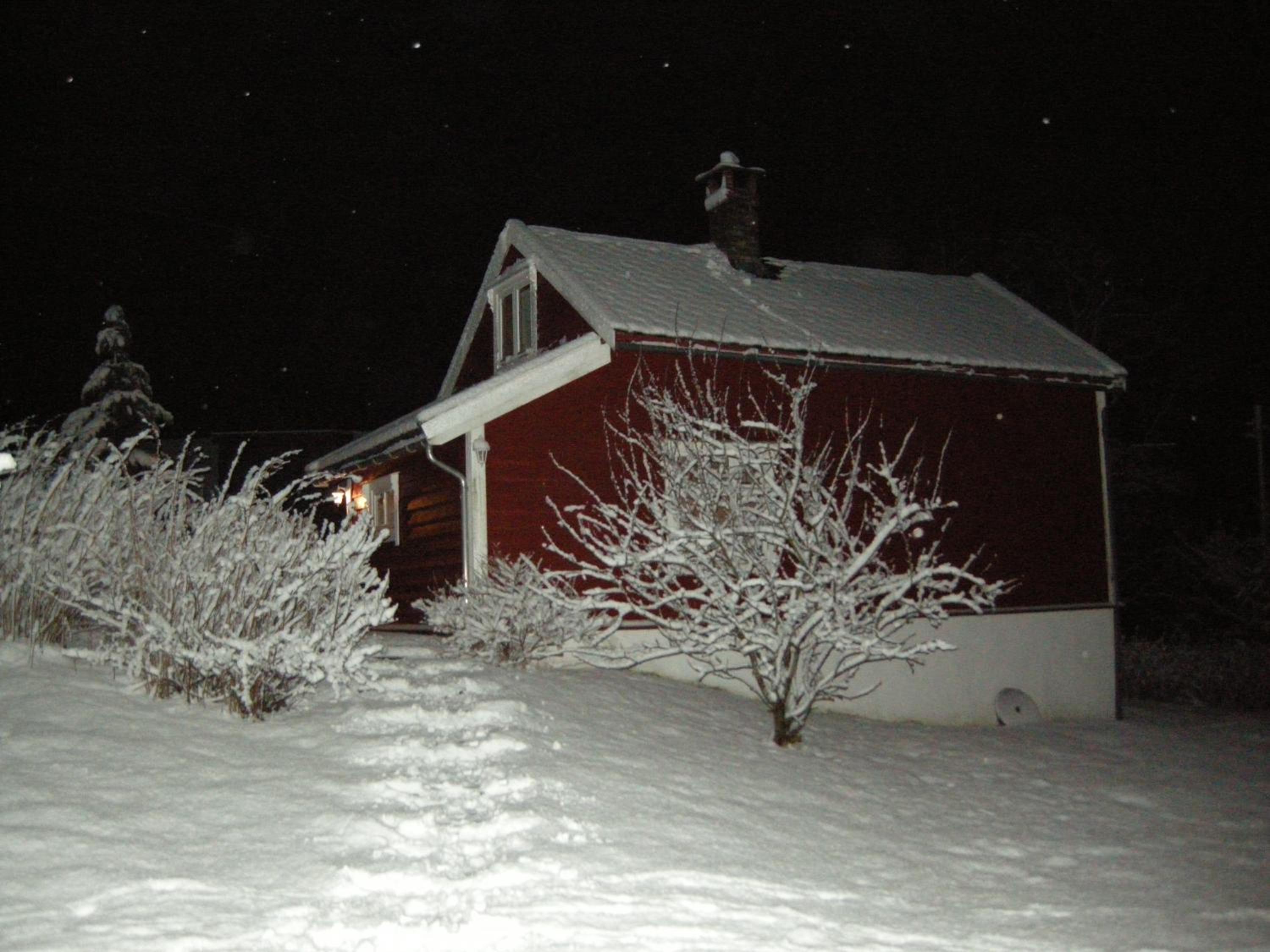 Photo 41