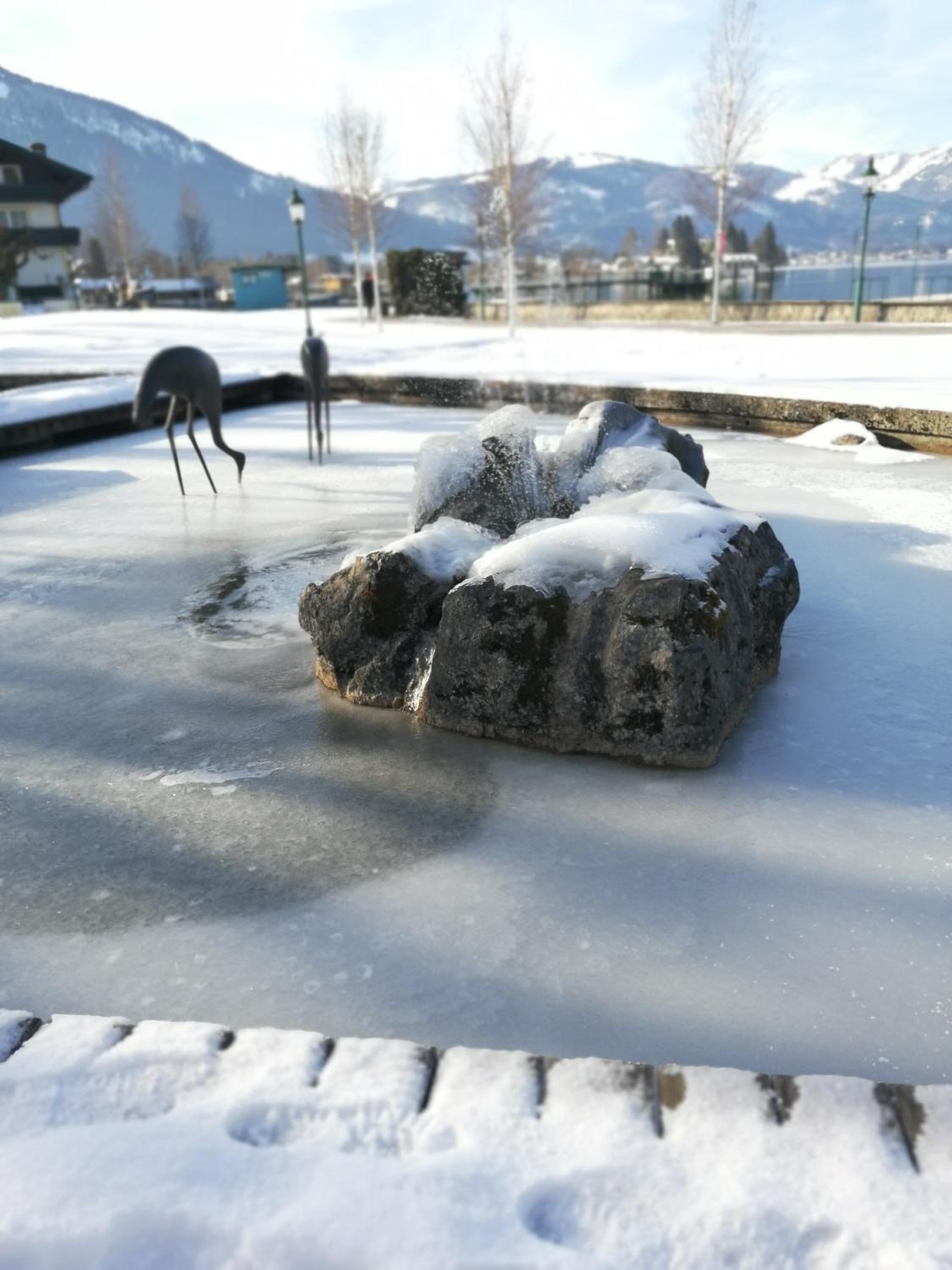 Photo 44