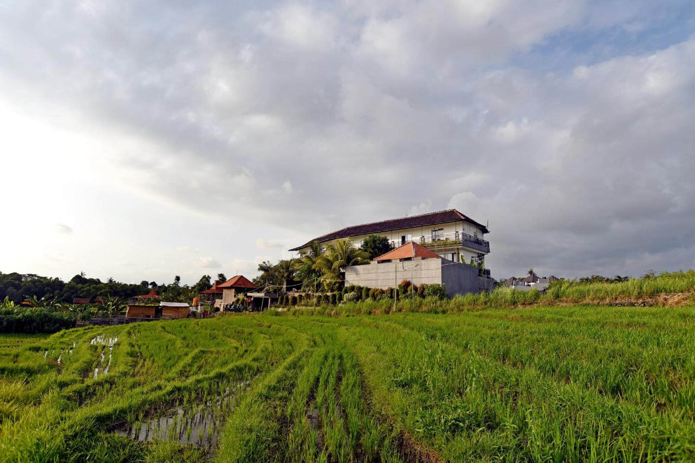 Grandpa Guest House