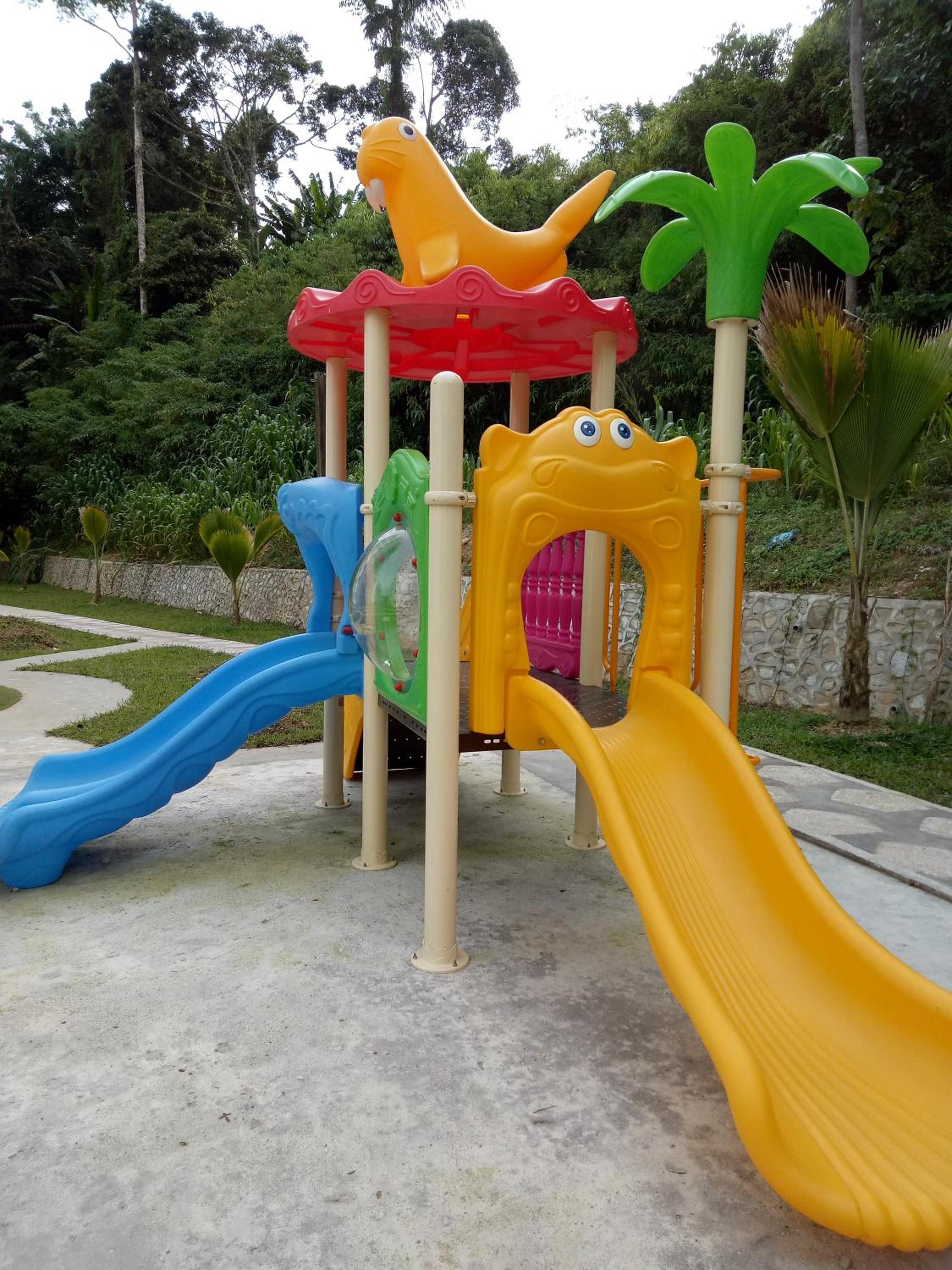 Photo 41