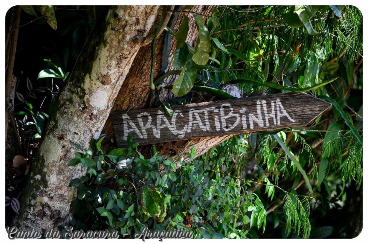 Saracura