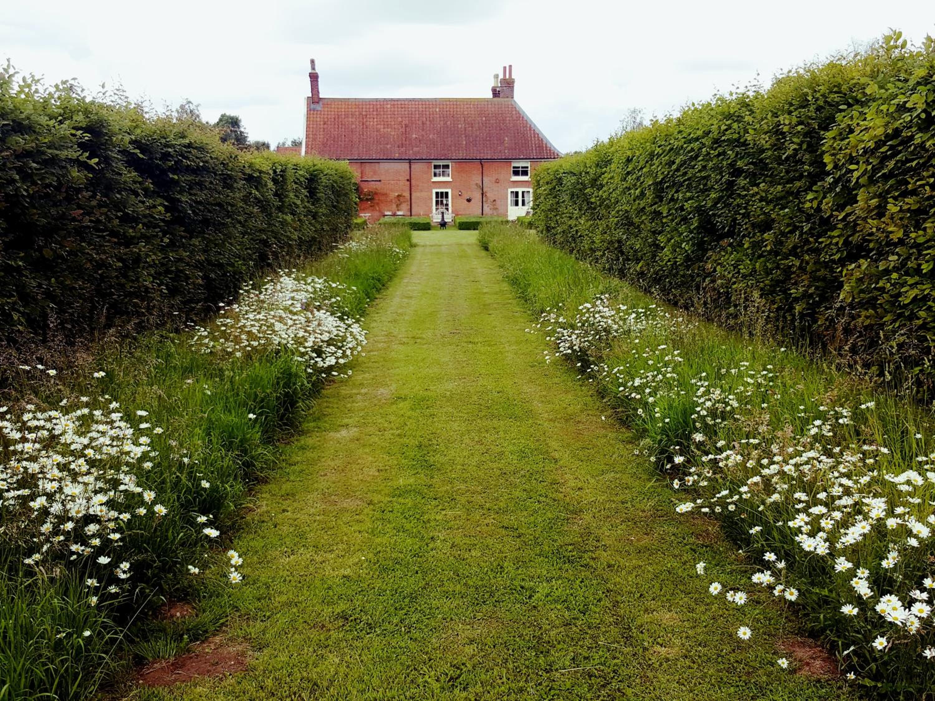 Photo 45