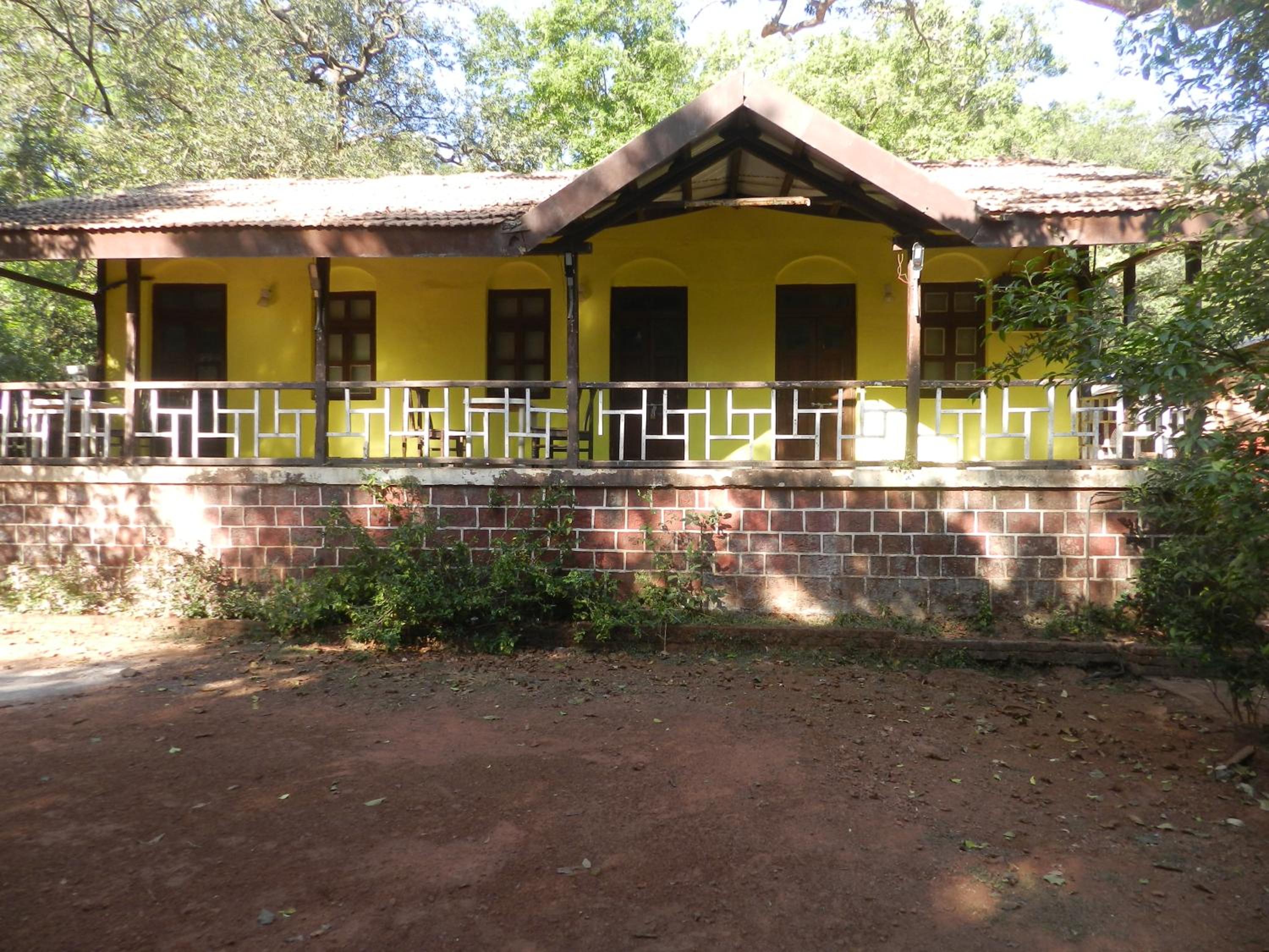 Photo 20