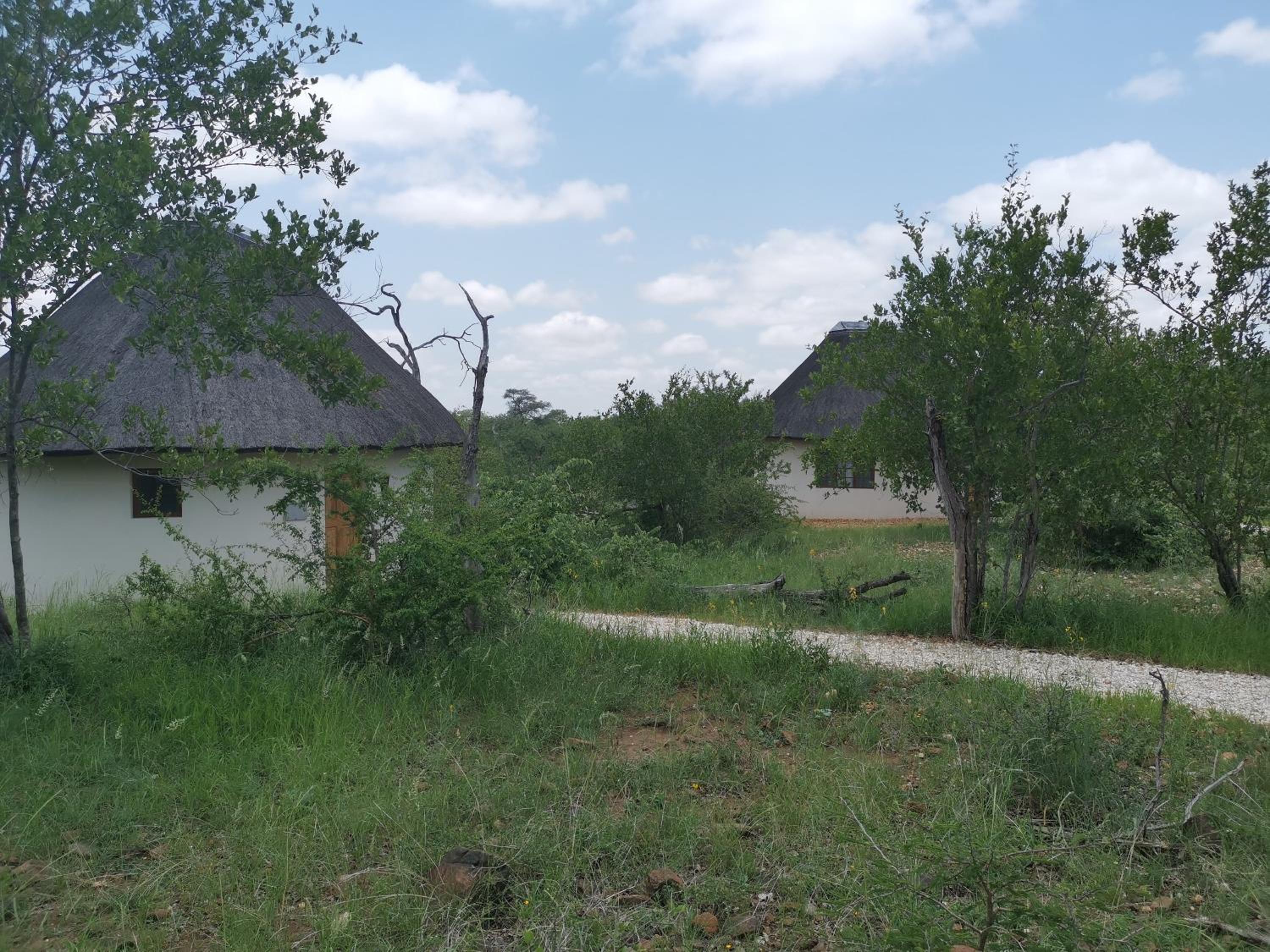 Mbizi Bush Lodge