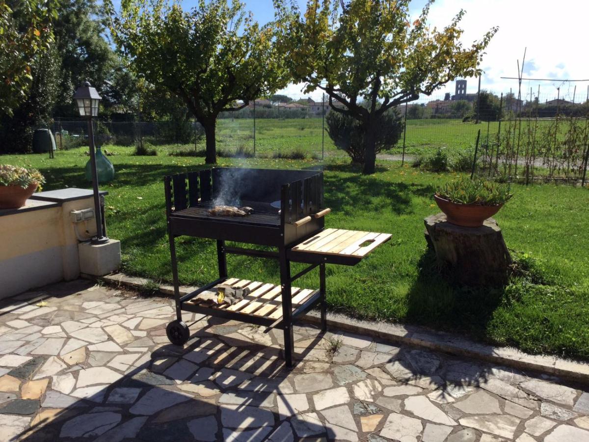 Il giardino di Otto photo 3