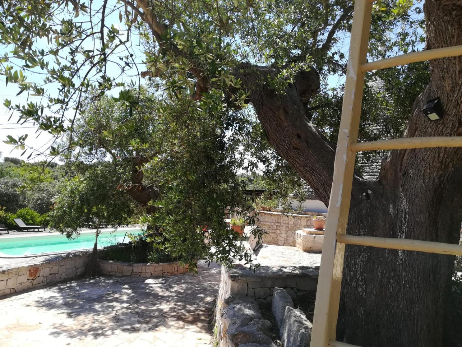 Trulli & Grotte Exclusive House view 3