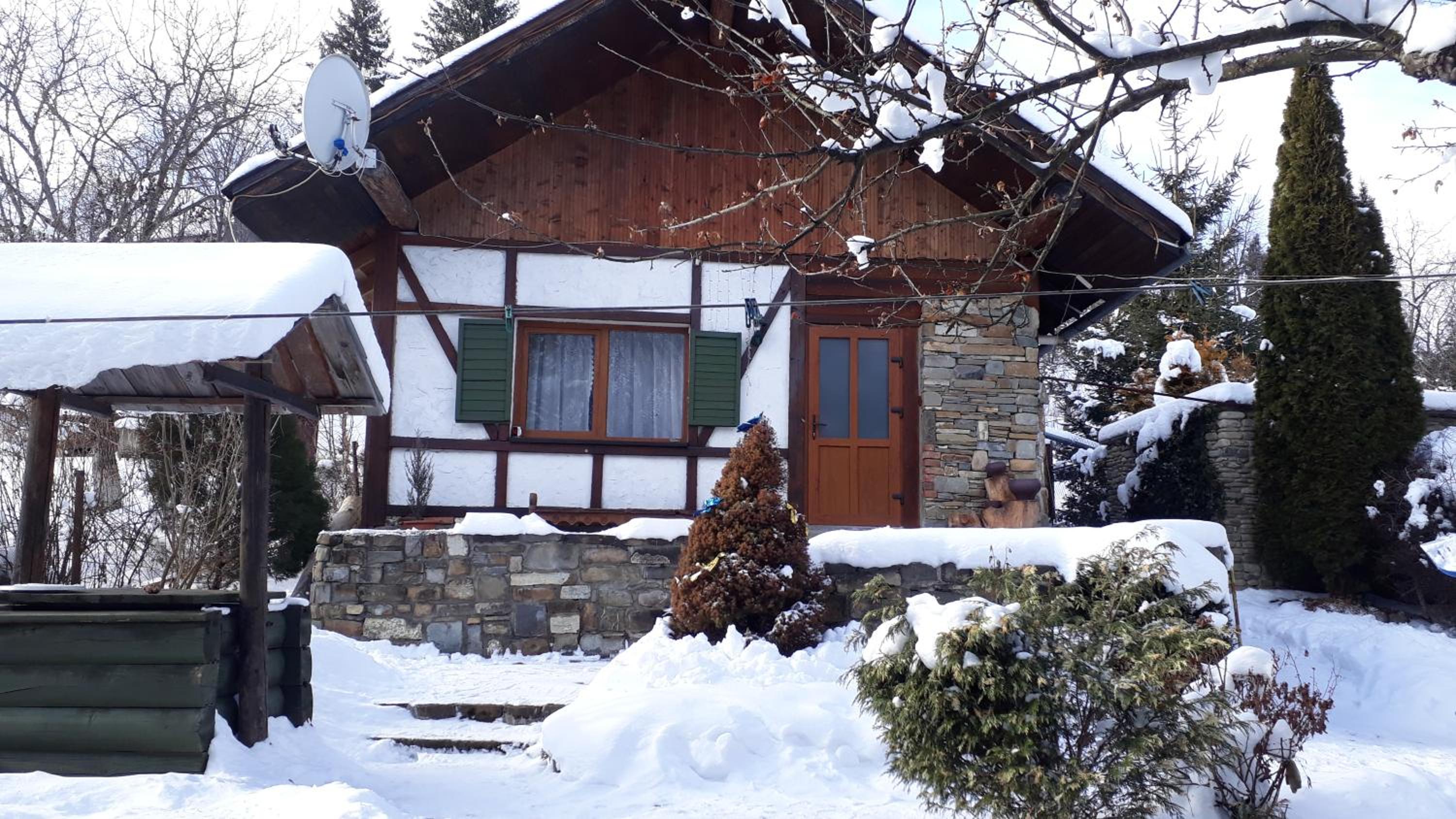 Photo 11