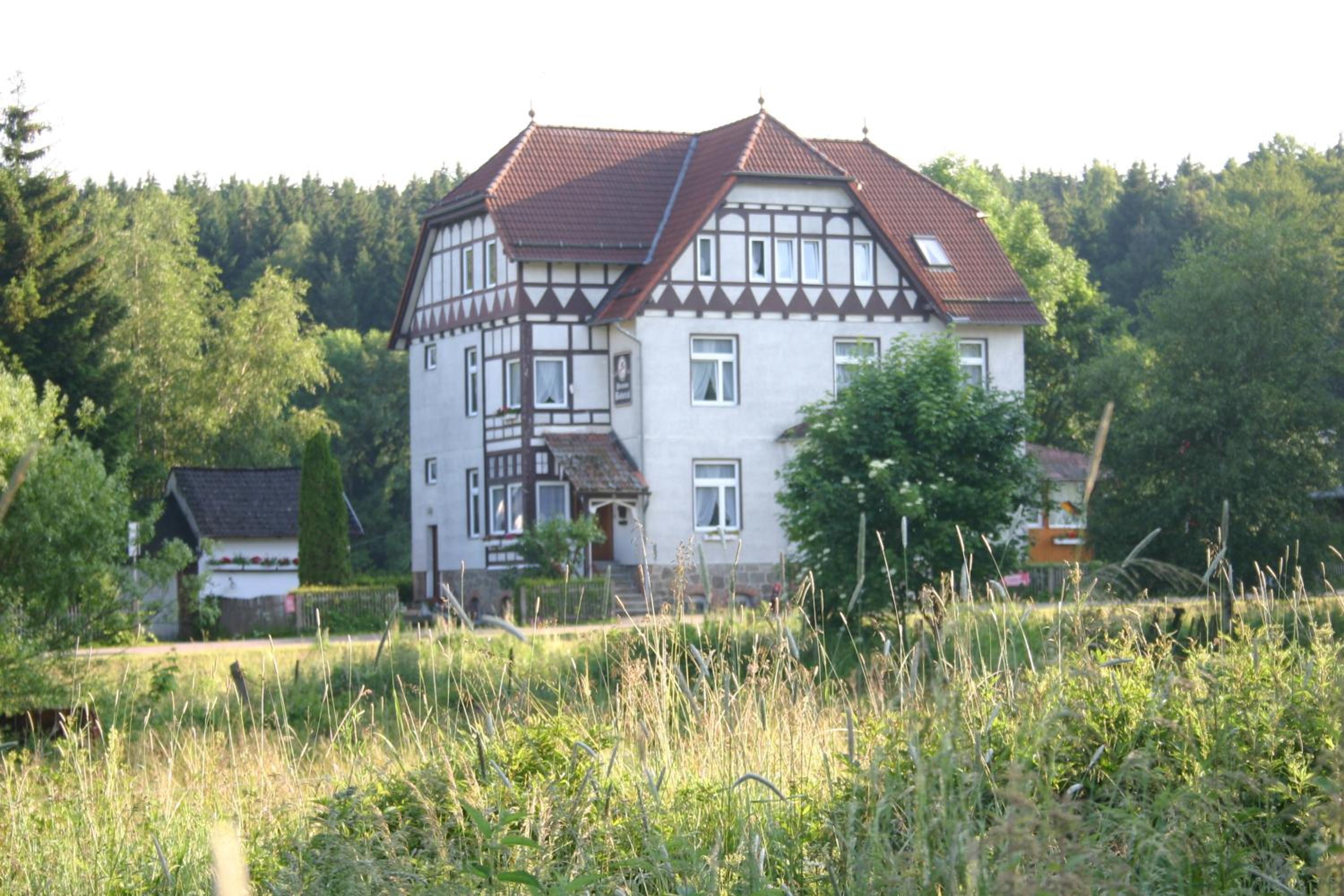 Photo 19