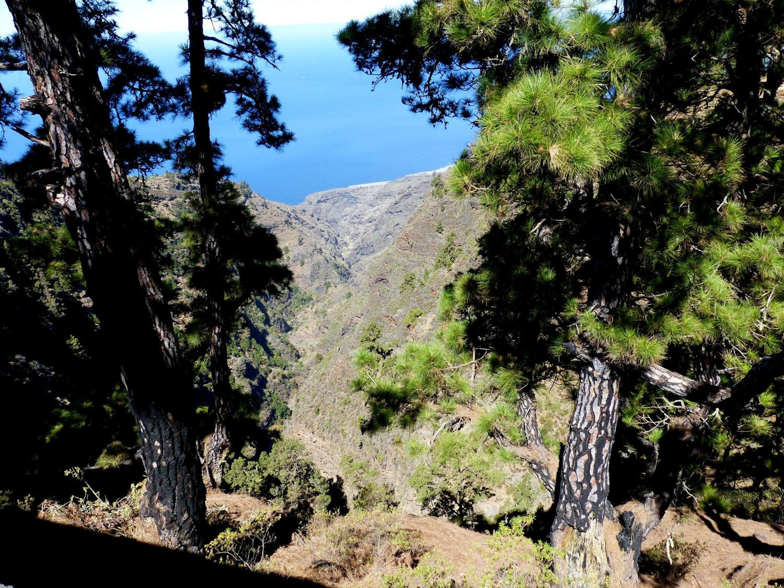 Villa Buena Vista view 2
