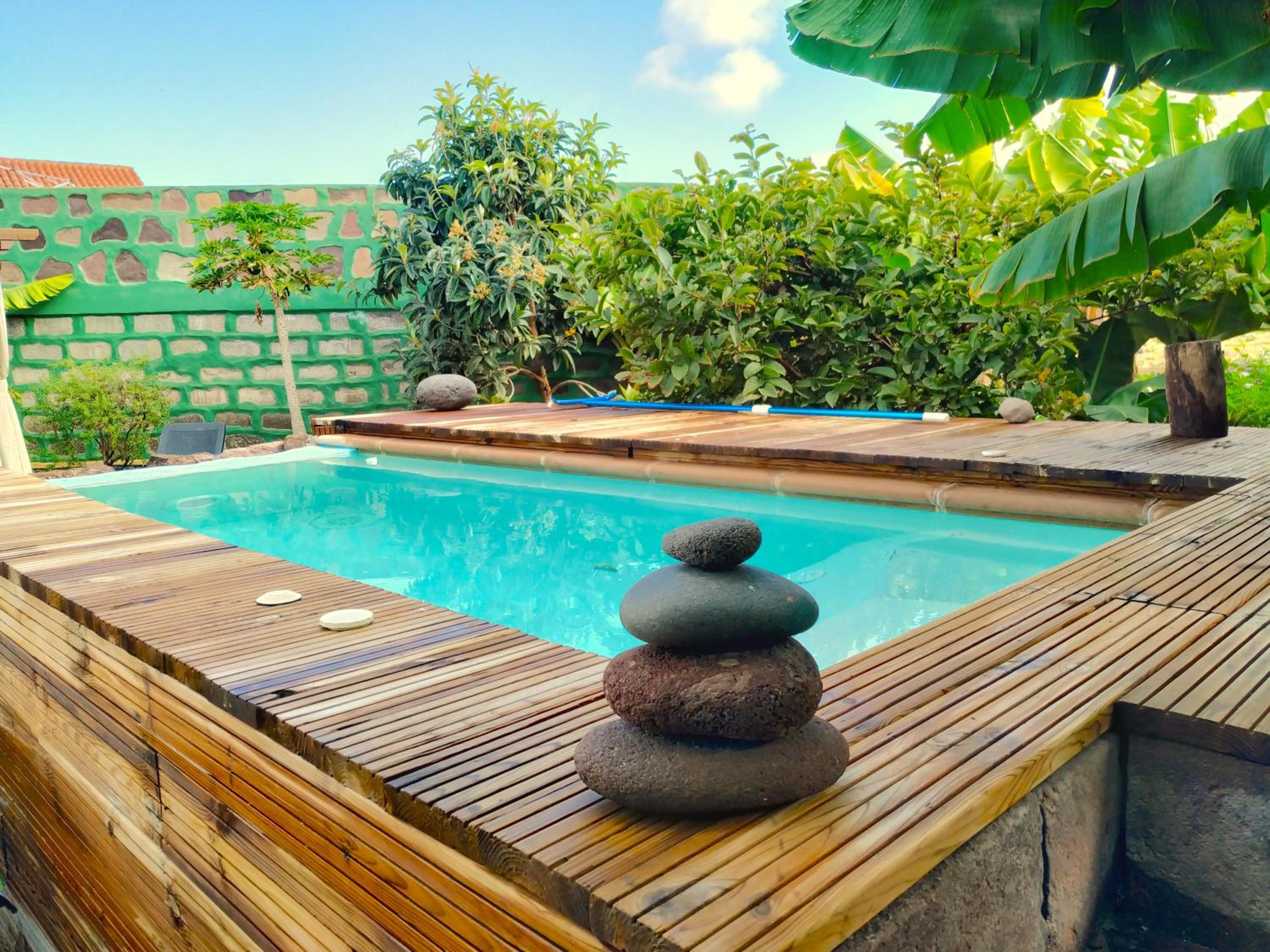 Villa Canaria piscina jacuzzi jardín photo 3