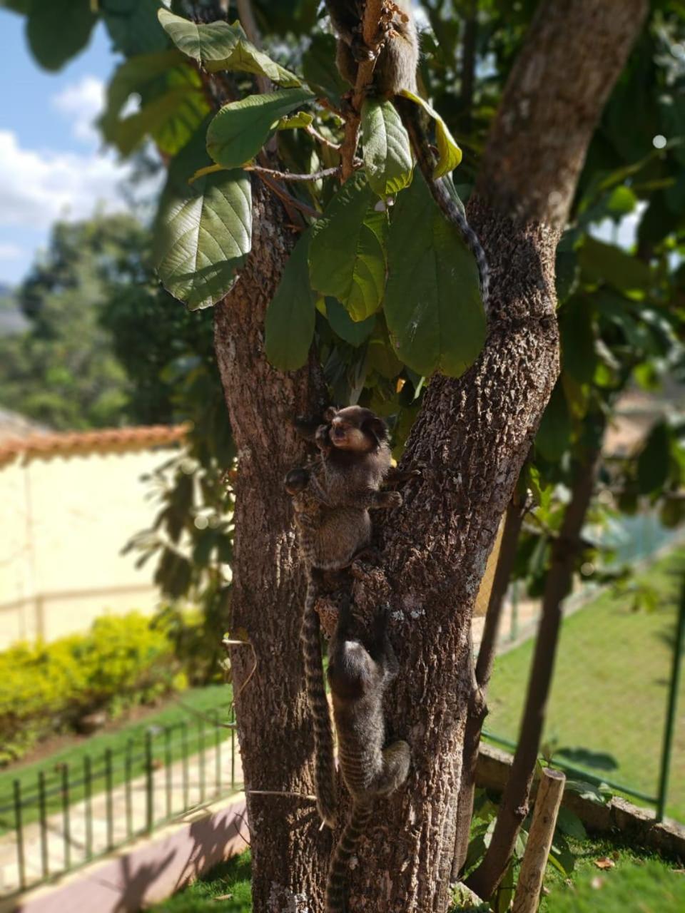 Pousada Bella Vista