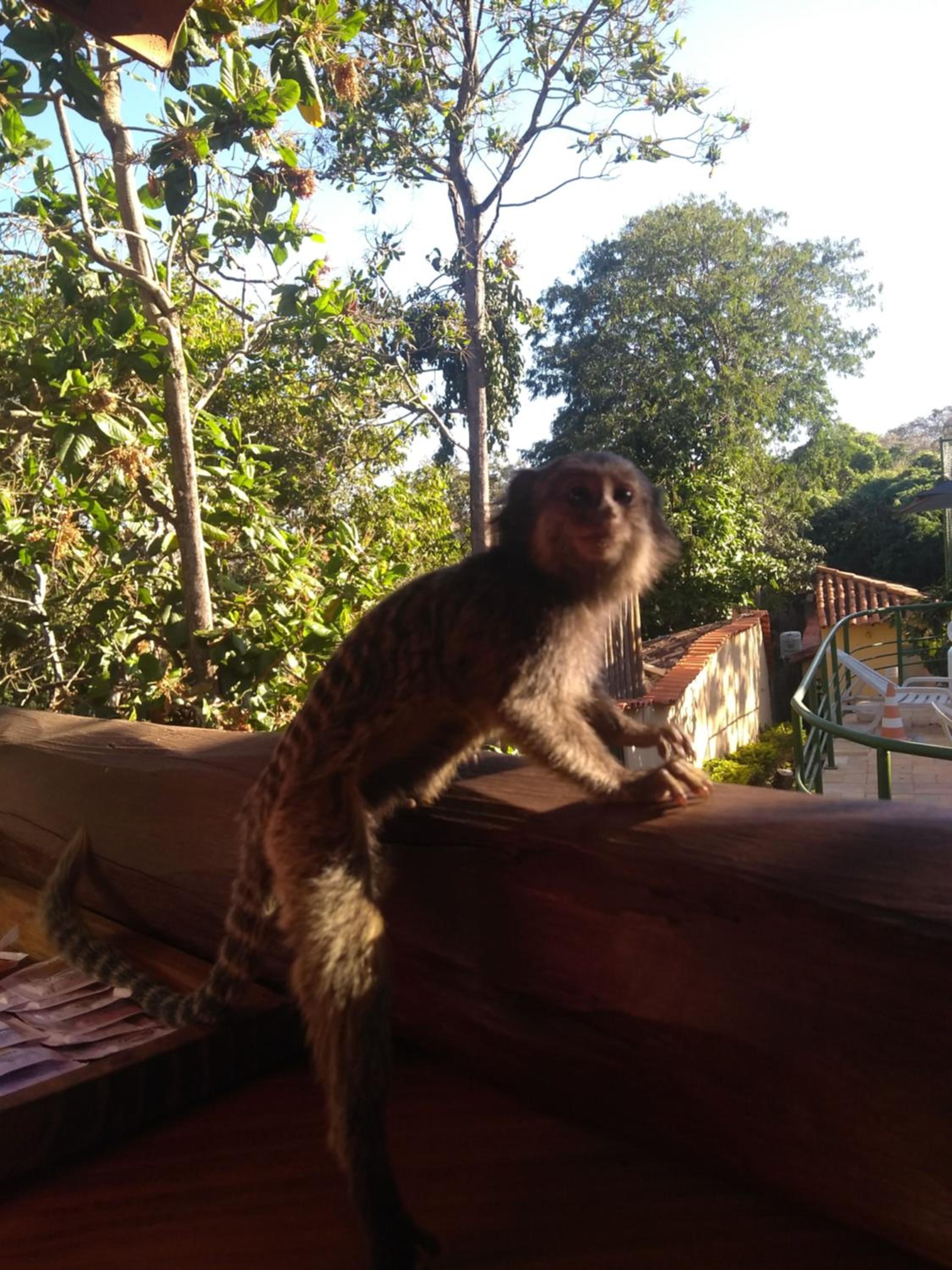 Pousada Bella Vista