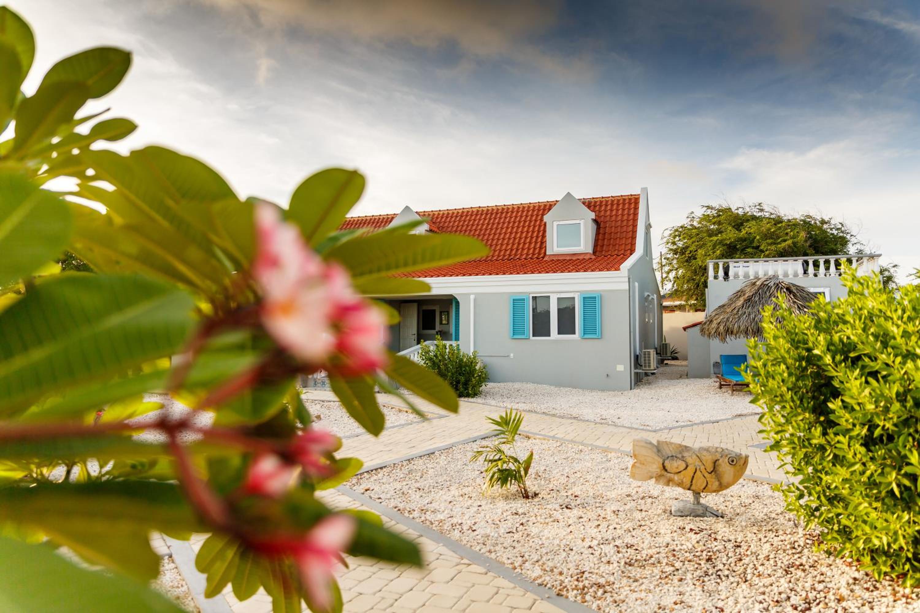 Aruba Boutique Apartments - Adults Only