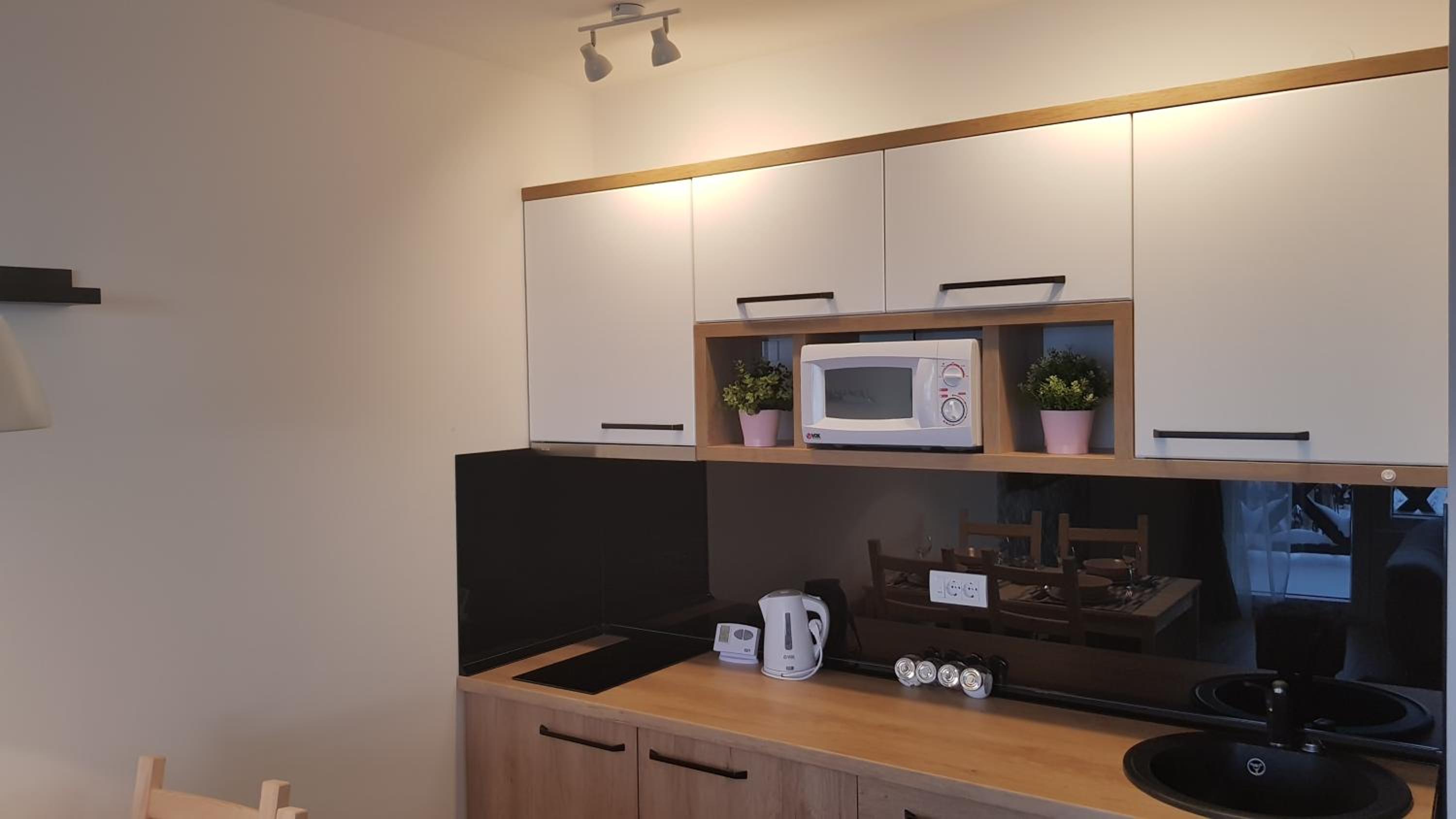 Apartman Jovanovic Kopaonik view 4