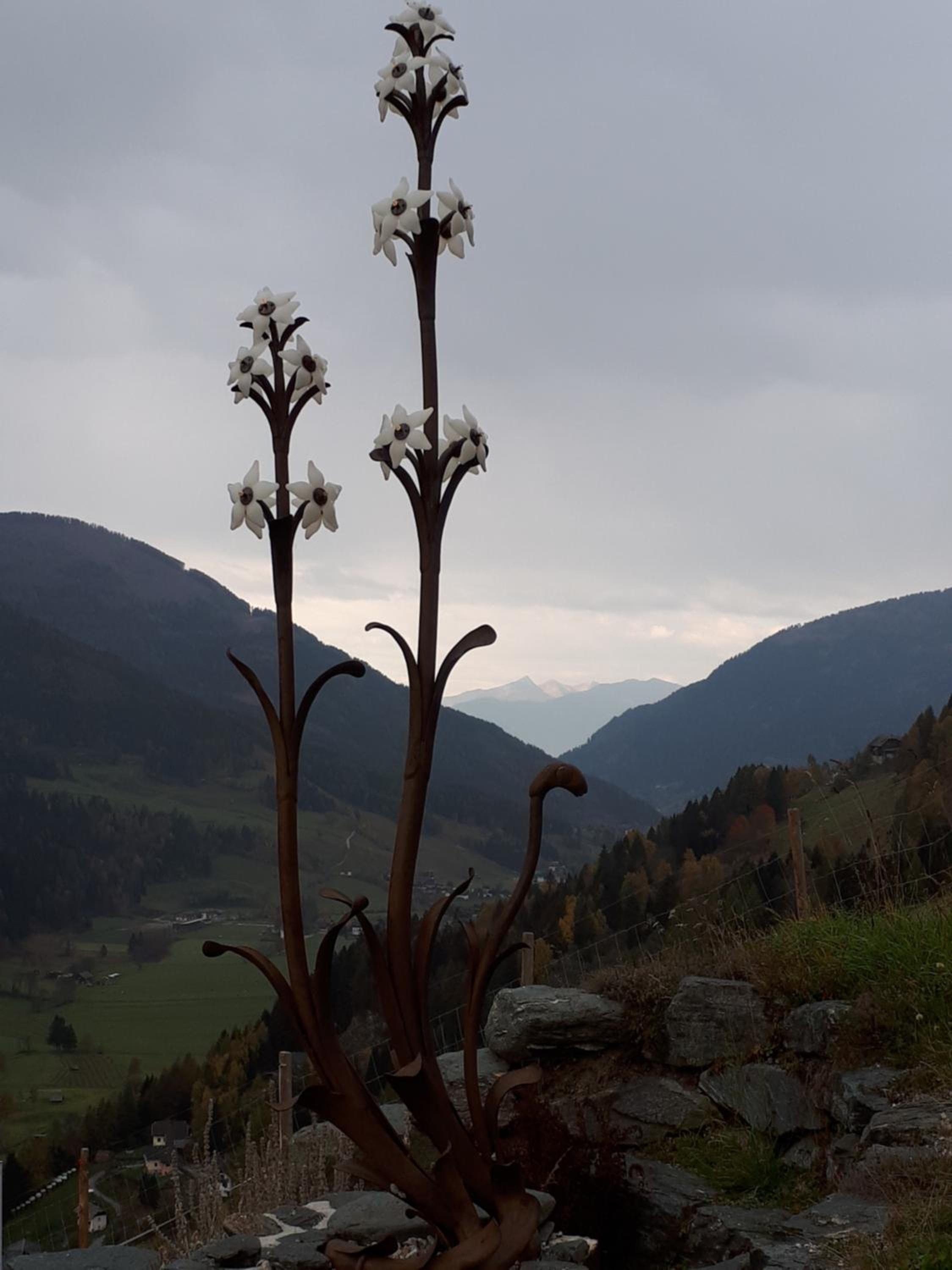 Simonbauerhof