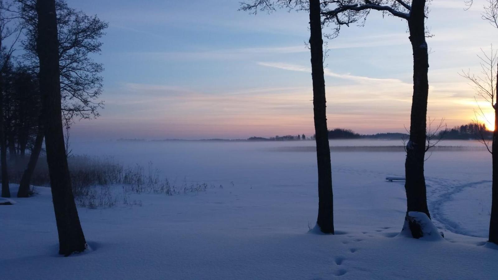 Saullēkti ozolos pie Ežezera view 4