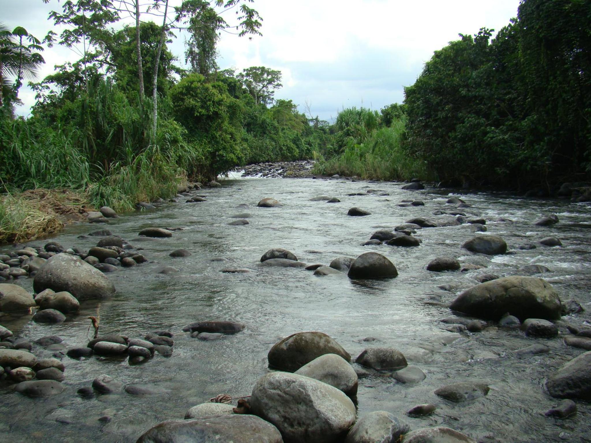 Horquetas River Lodge