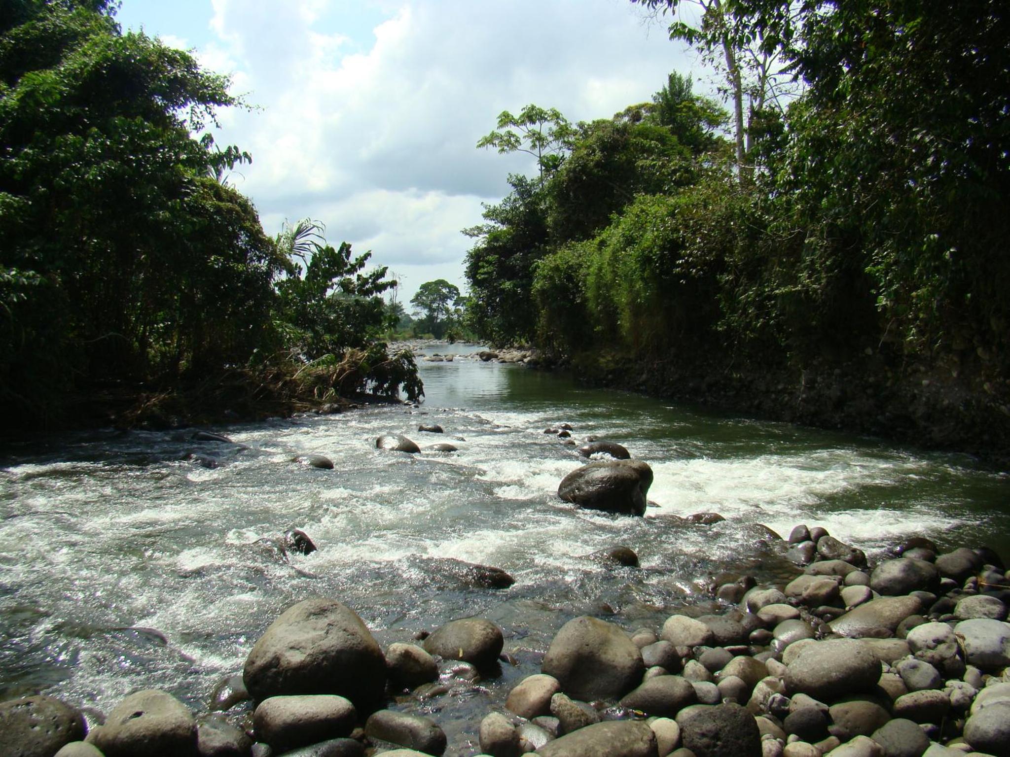Horquetas River Lodge