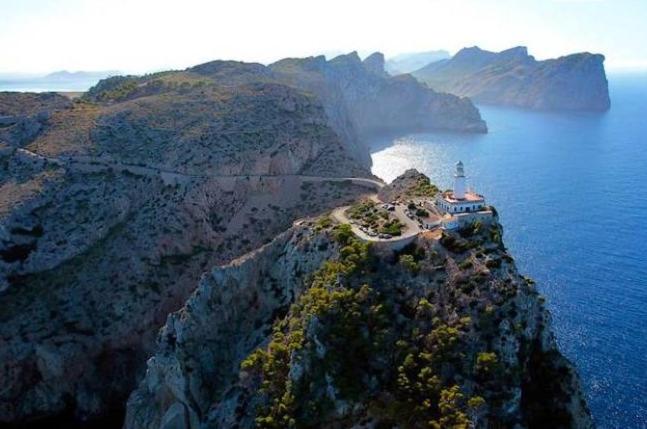 Dalia view 4